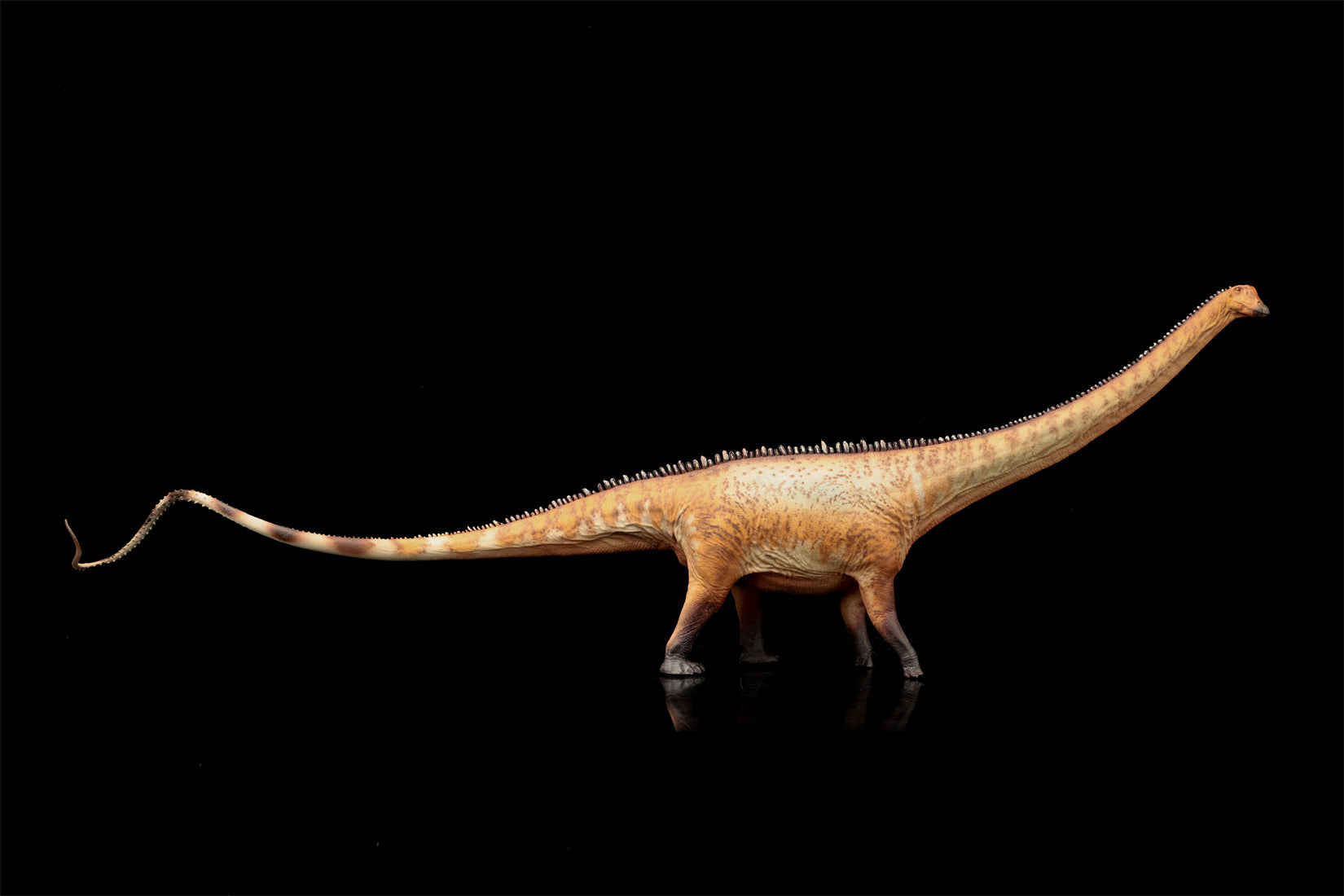 HAOLONGGOOD 1:35 Scale Diplodocus Model