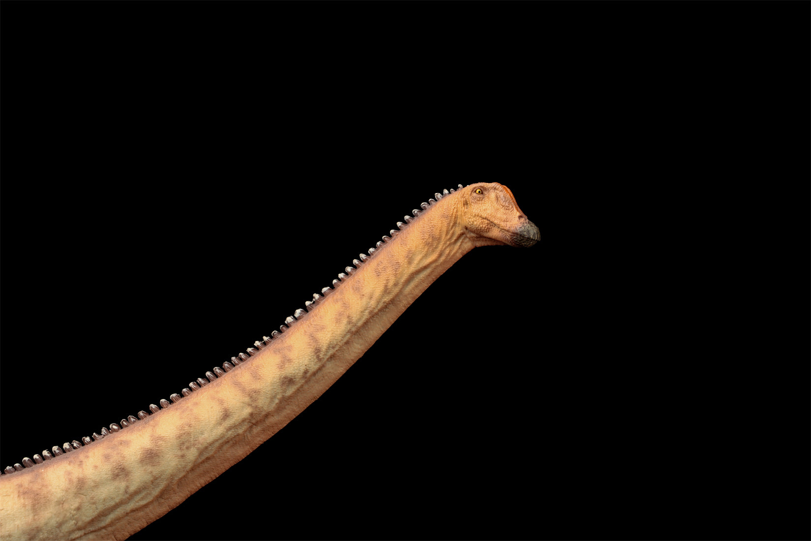 HAOLONGGOOD 1:35 Scale Diplodocus Model