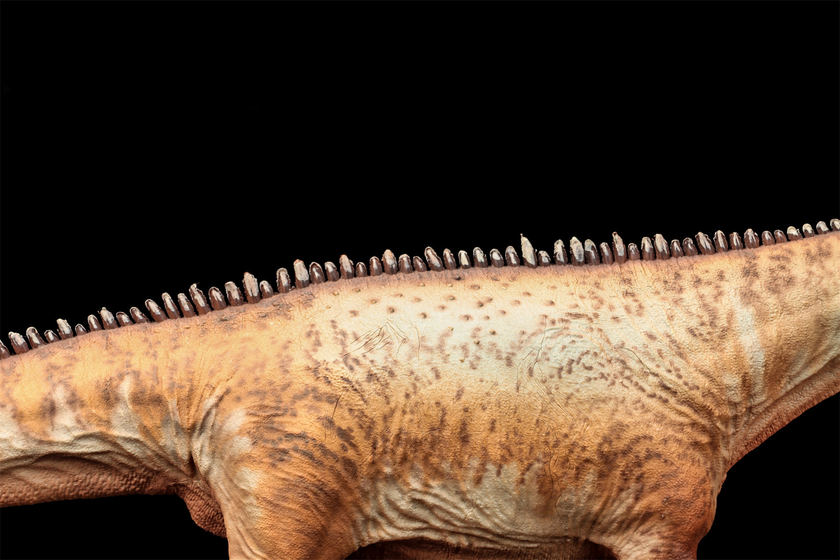 HAOLONGGOOD 1:35 Scale Diplodocus Model