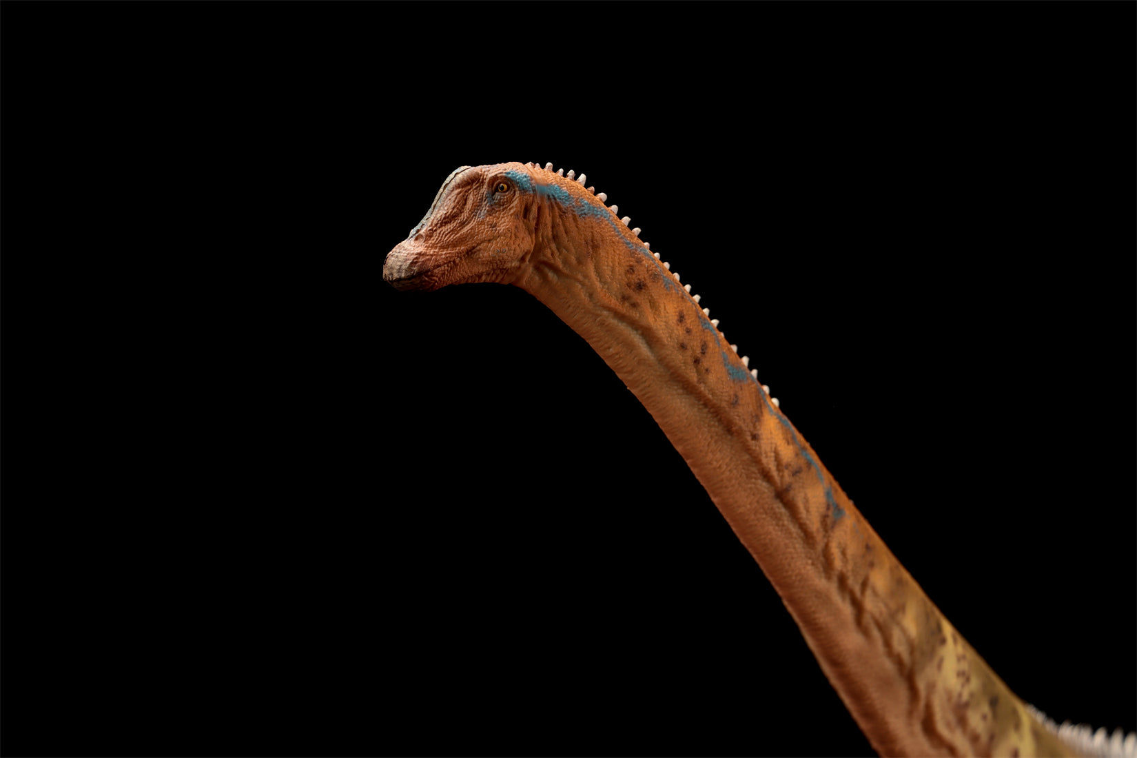 HAOLONGGOOD 1:35 Scale Diplodocus Model