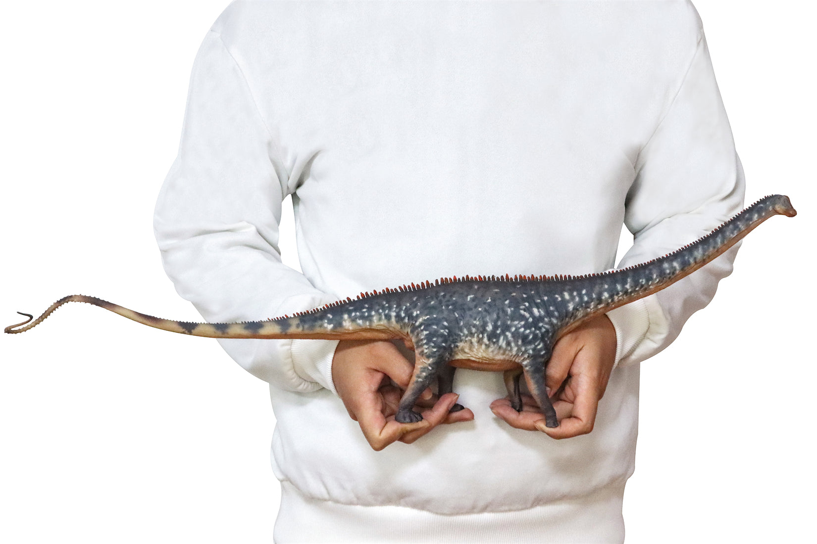 HAOLONGGOOD 1:35 Scale Diplodocus Model