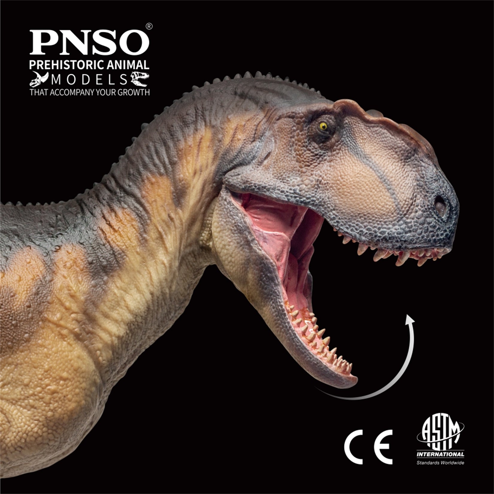 PNSO Yangchuanosaurus Magnus Dapeng Model