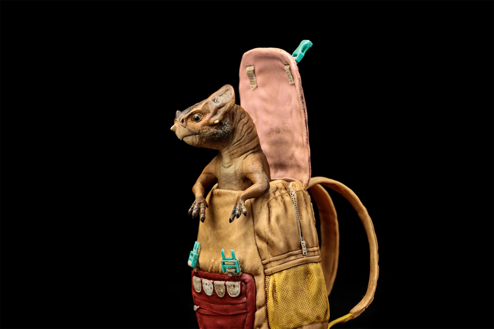 DINO DREAM 1:5 Scale Aquilops Dolores Model