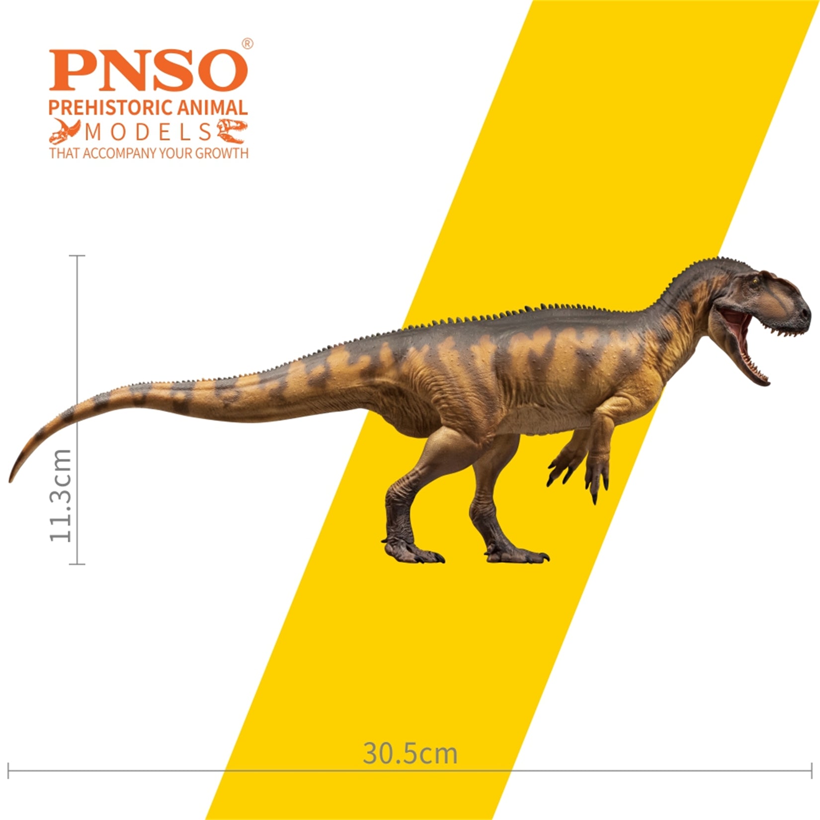 PNSO Yangchuanosaurus Magnus Dapeng Model