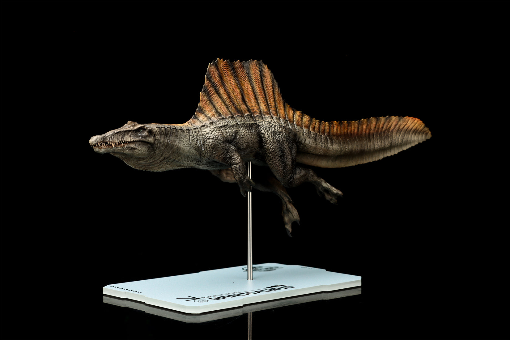 DINO DREAM 1:30 Scale Spinosaurus Swim Version Model