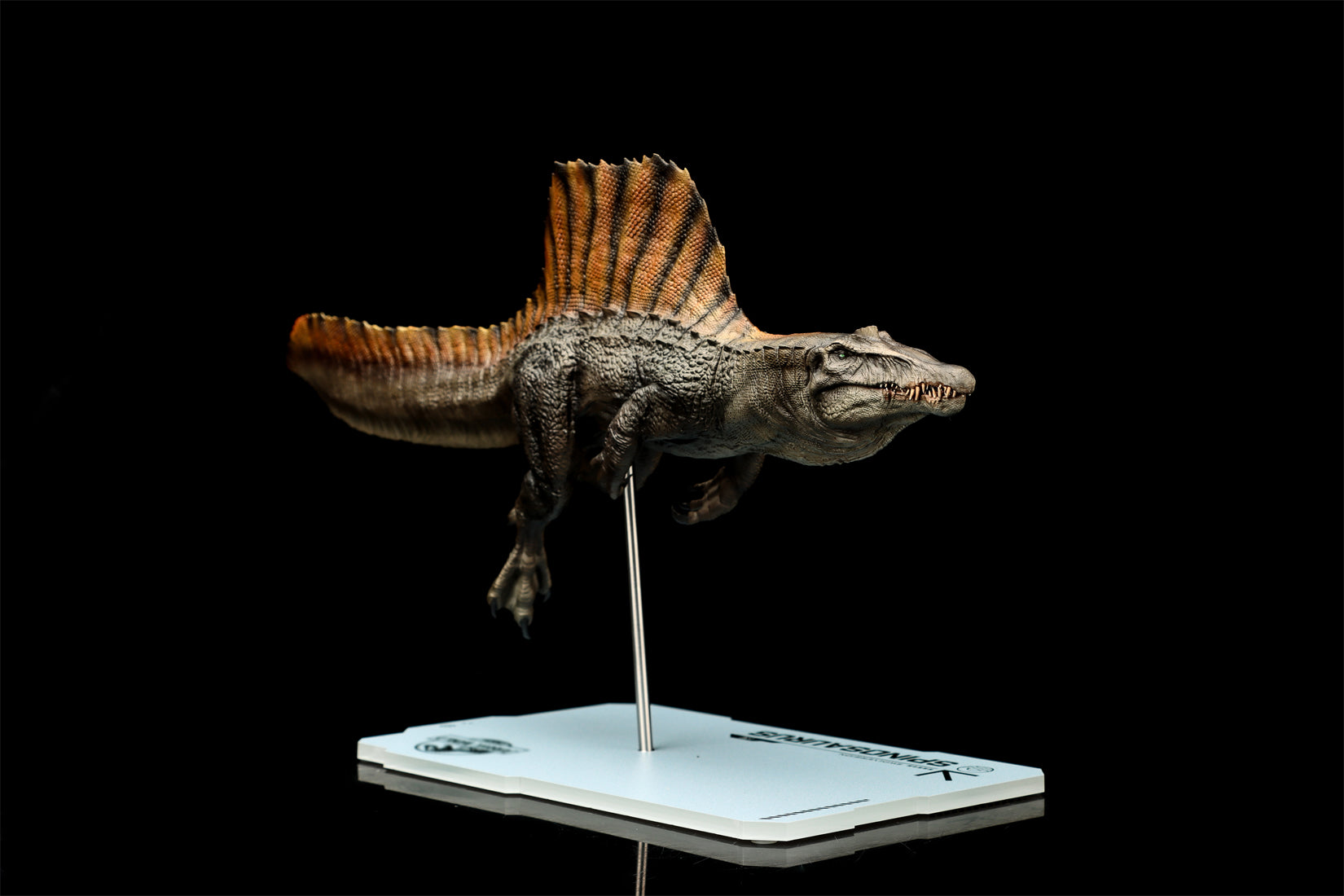 DINO DREAM 1:30 Scale Spinosaurus Swim Version Model