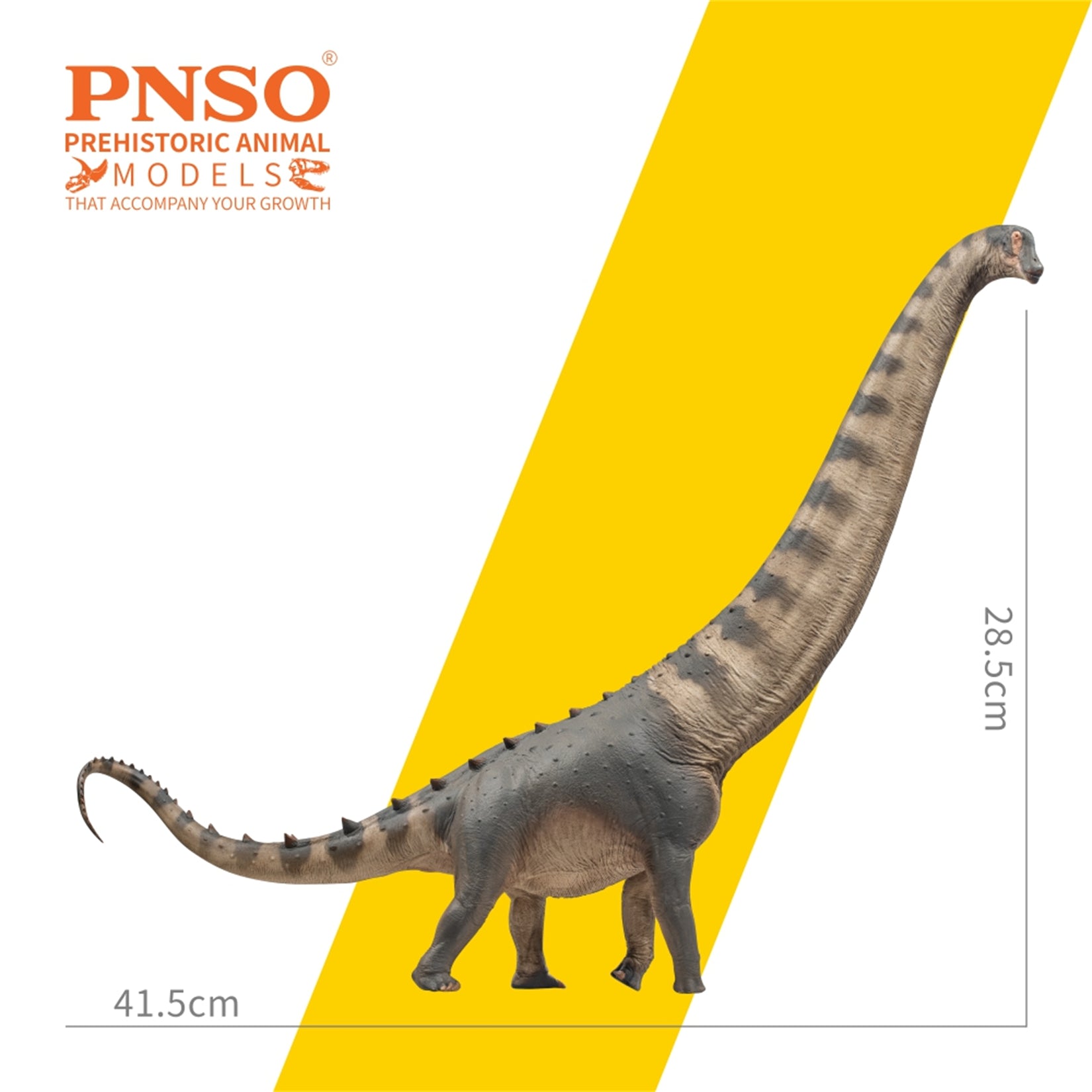 PNSO Alamosaurus Samuel Model