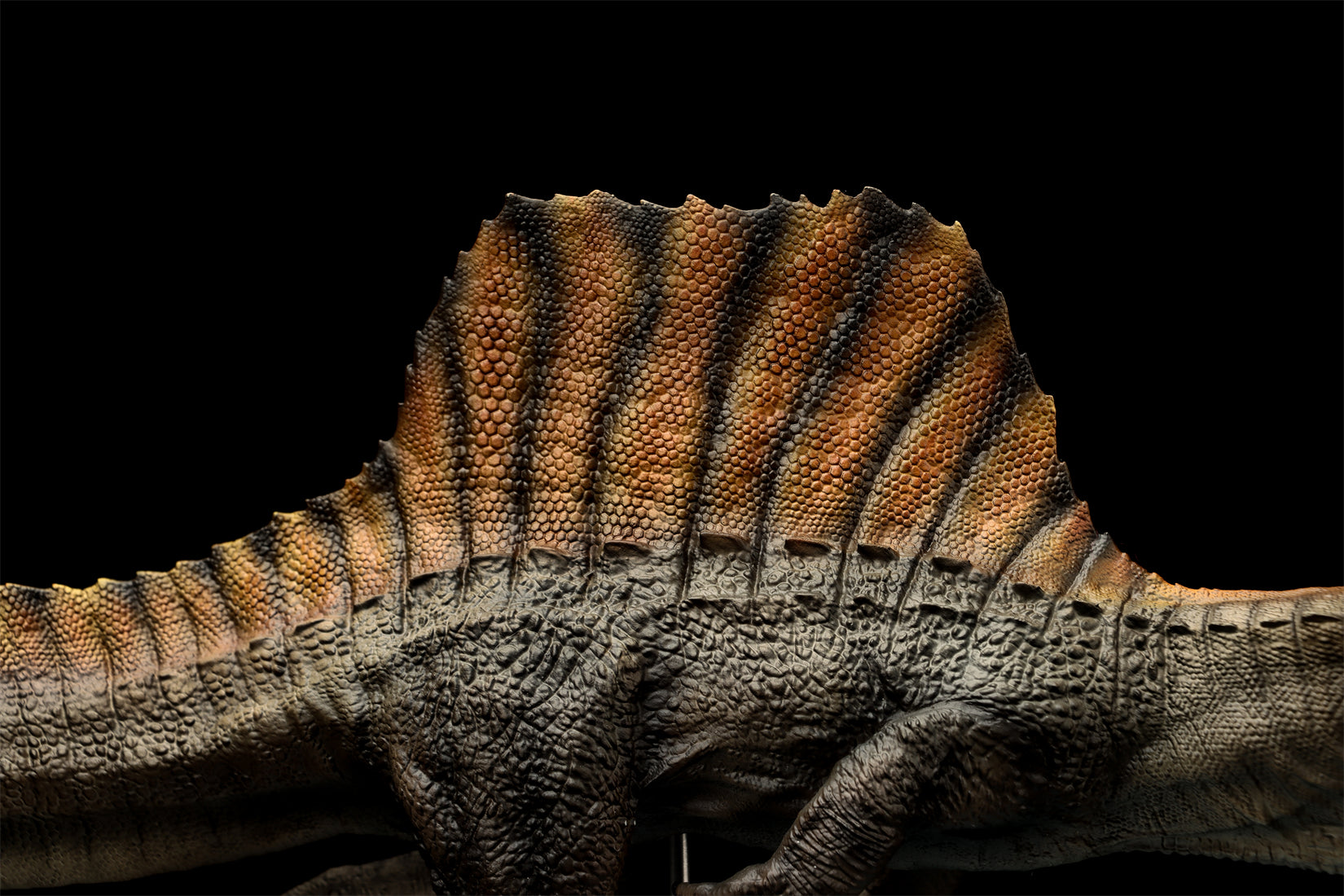 DINO DREAM 1:30 Scale Spinosaurus Swim Version Model