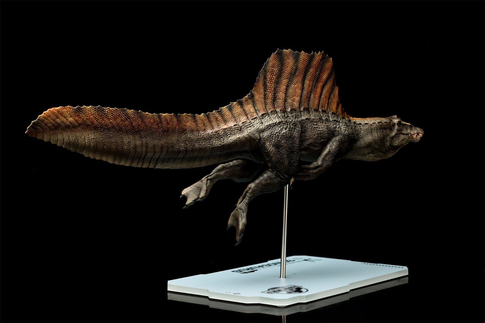 DINO DREAM 1:30 Scale Spinosaurus Swim Version Model
