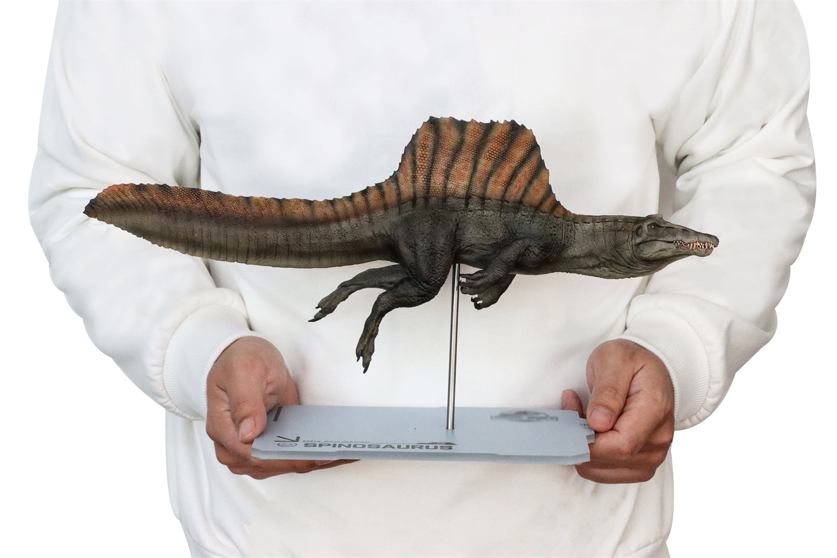 DINO DREAM 1:30 Scale Spinosaurus Swim Version Model