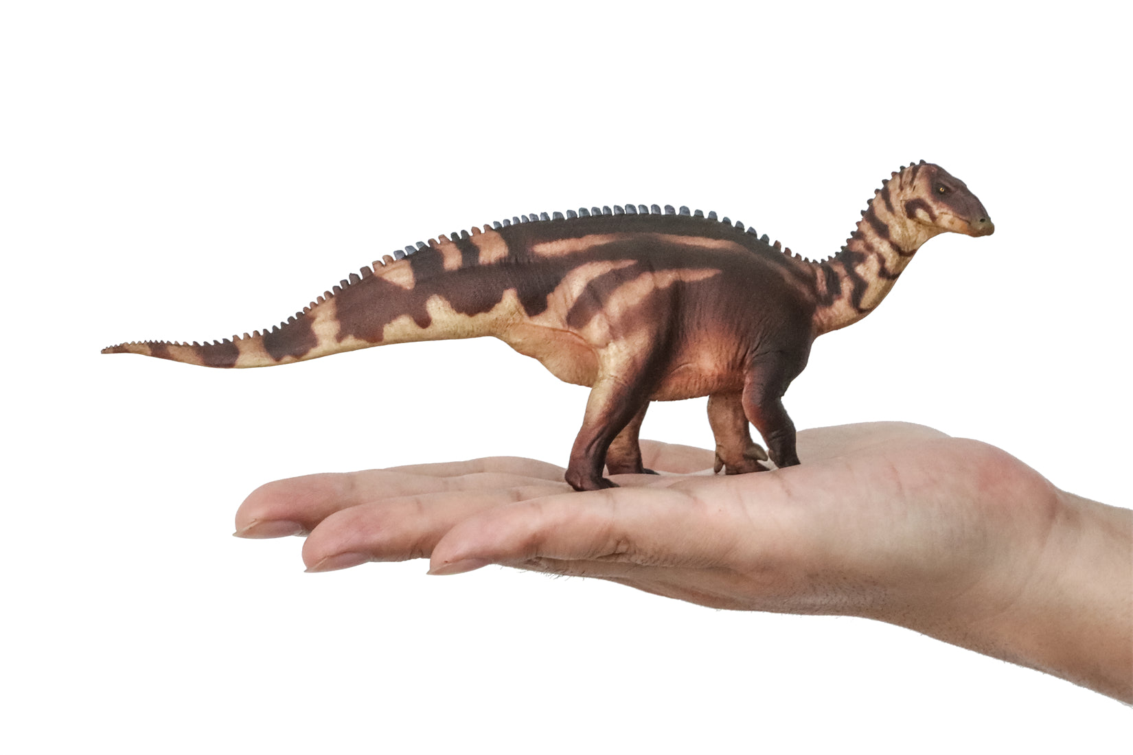 PNSO 94 Lurdusaurus Bakari Model