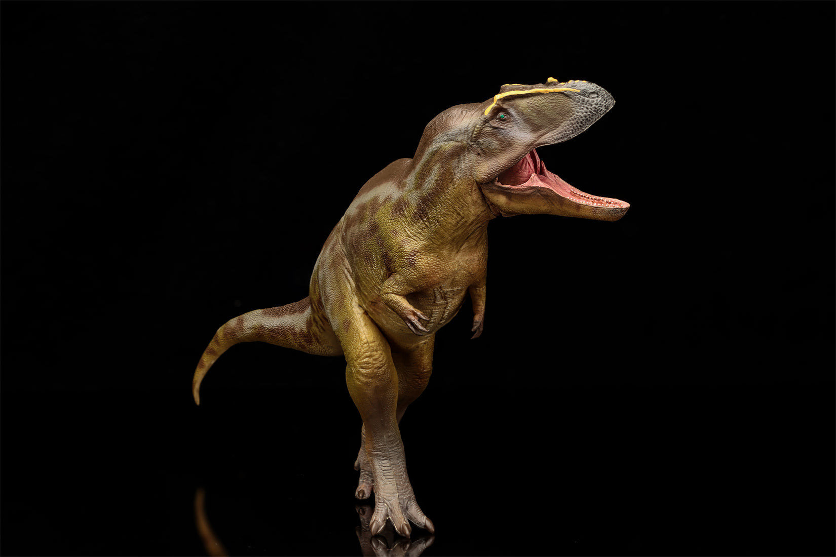 PNSO 95 Tameryraptor Mayer Model