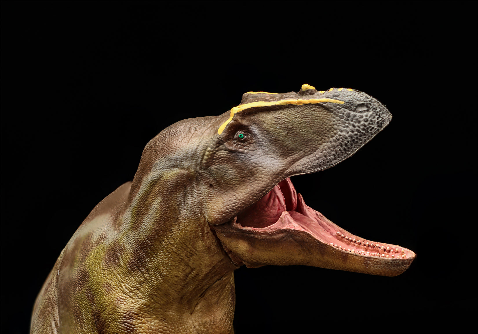 PNSO 95 Tameryraptor Mayer Model