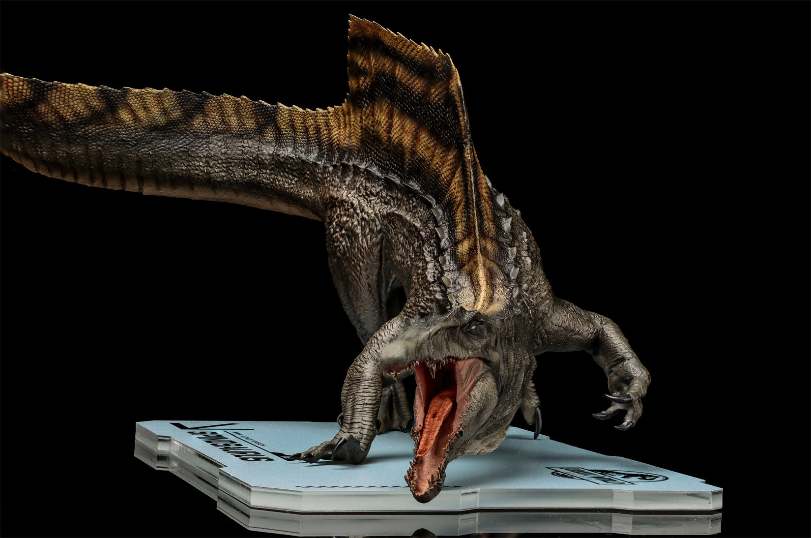 DINO DREAM 1:30 Scale Spinosaurus Attack Version Model