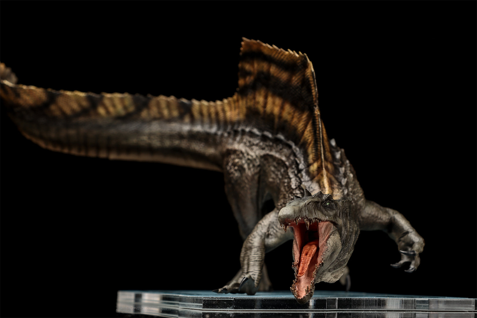 DINO DREAM 1:30 Scale Spinosaurus Attack Version Model