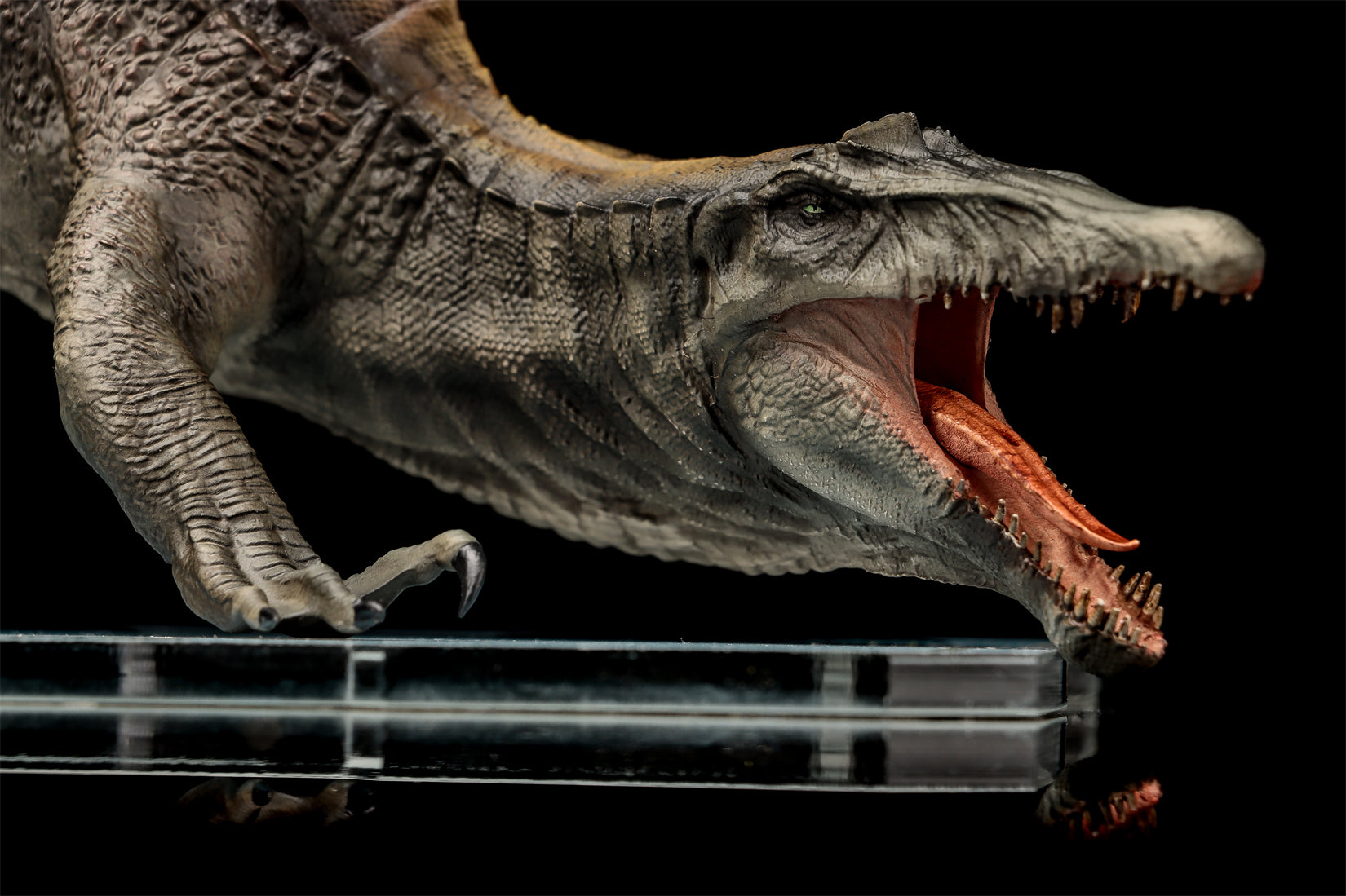 DINO DREAM 1:30 Scale Spinosaurus Attack Version Model