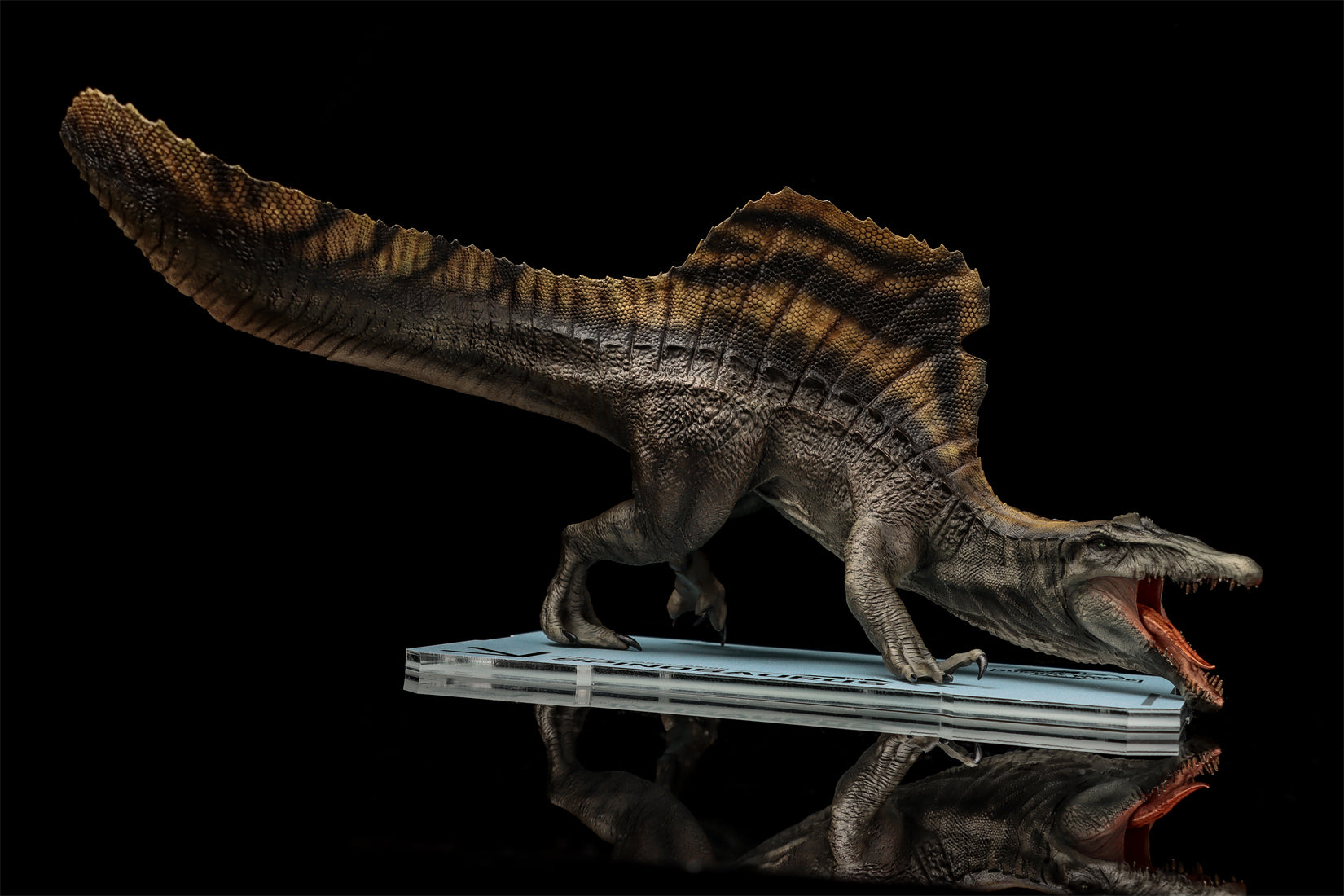 DINO DREAM 1:30 Scale Spinosaurus Attack Version Model
