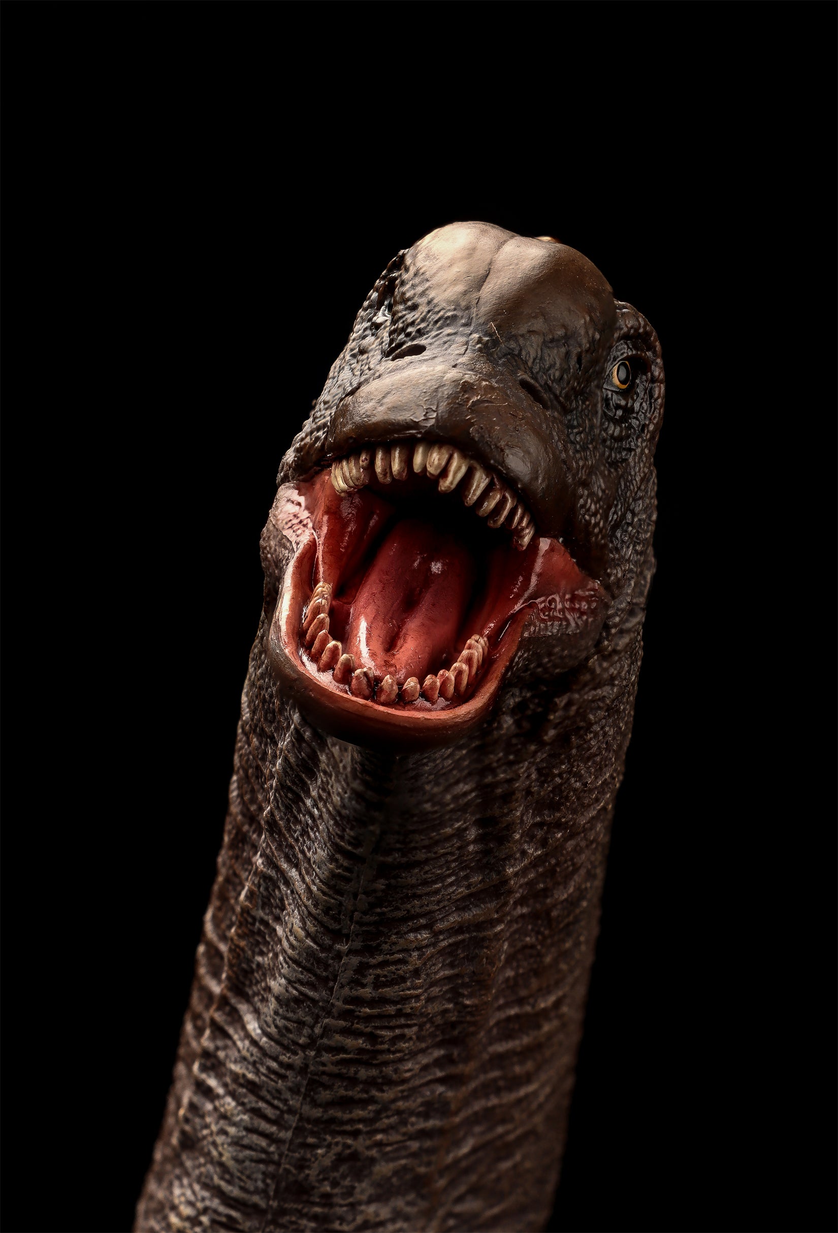 HAOLONGGOOD 1:35 Scale Sauroposeidon Model