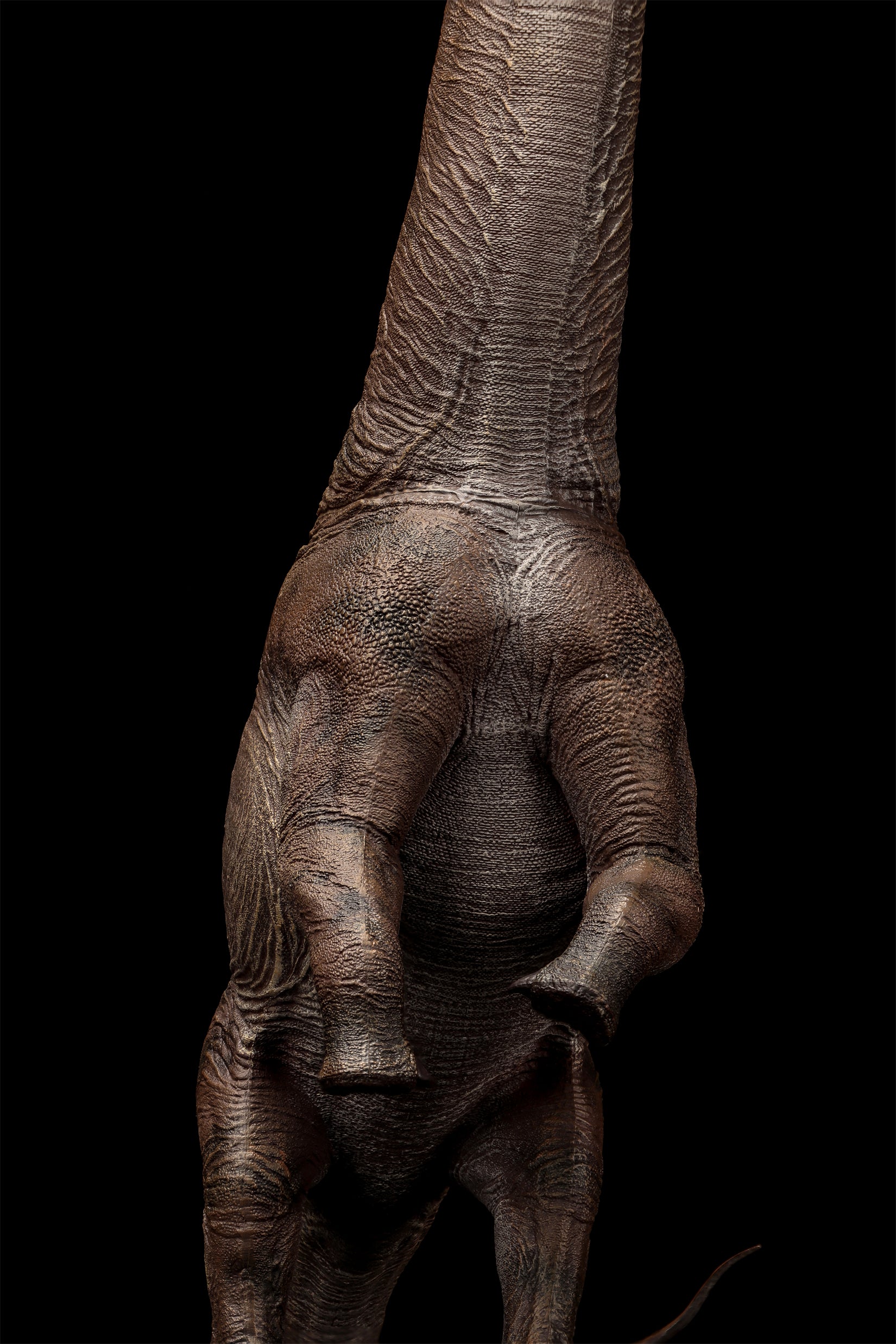 HAOLONGGOOD 1:35 Scale Sauroposeidon Model