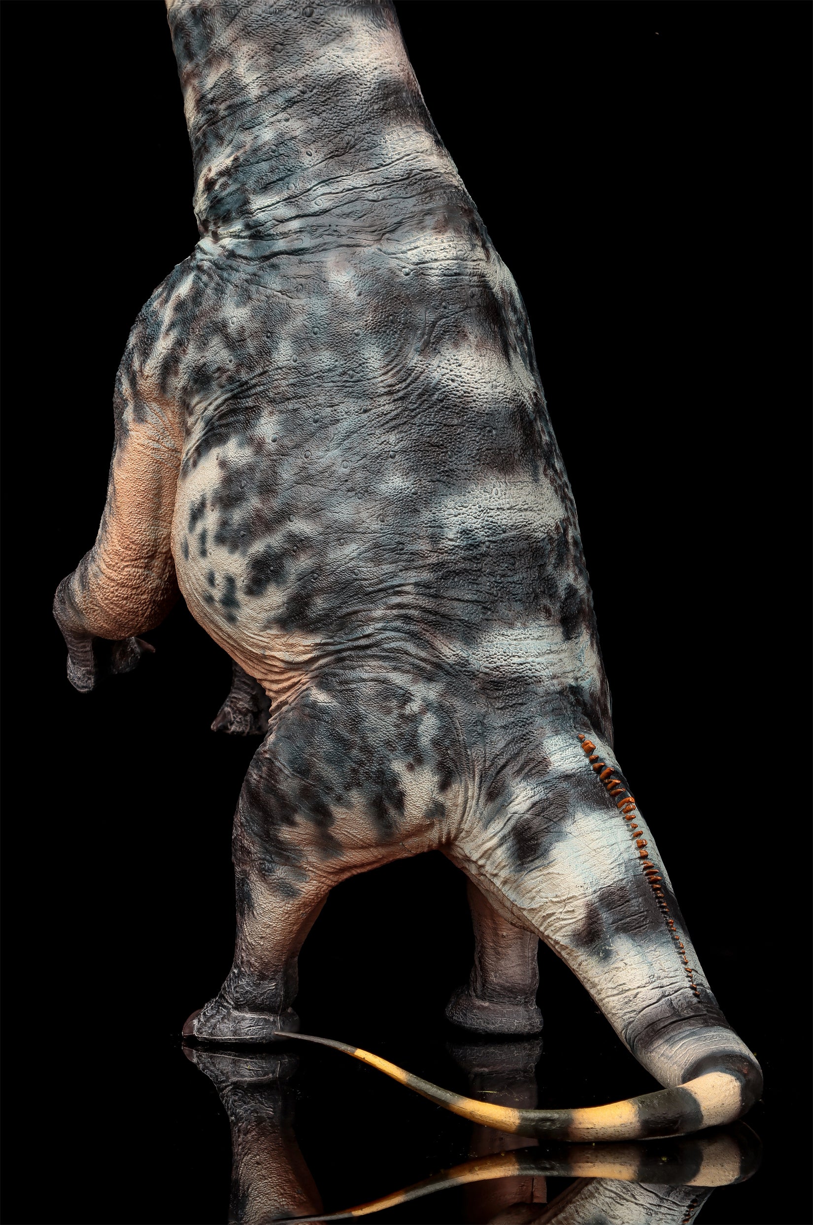 HAOLONGGOOD 1:35 Scale Sauroposeidon Model