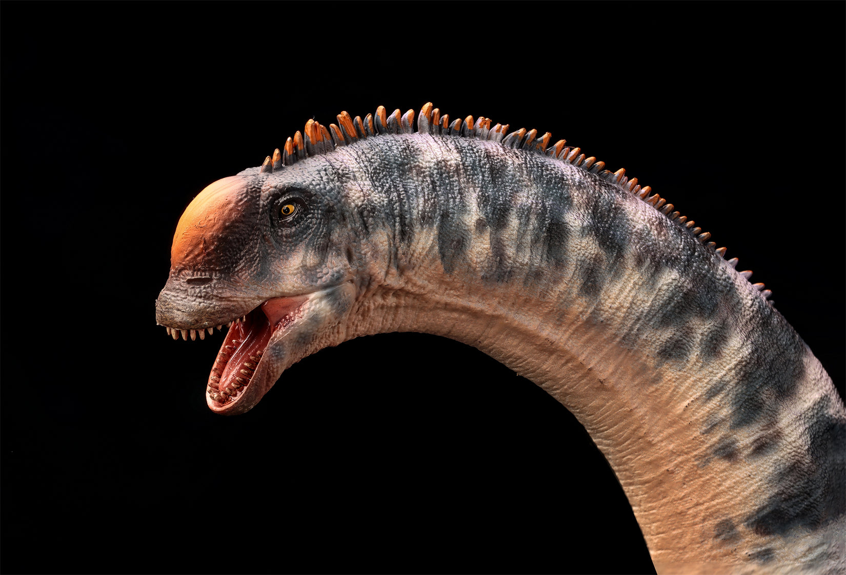 HAOLONGGOOD 1:35 Scale Sauroposeidon Model