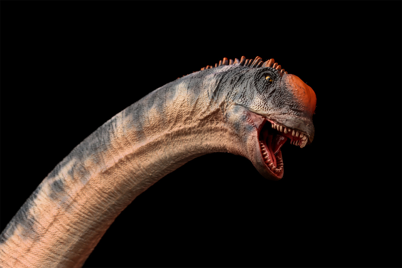 HAOLONGGOOD 1:35 Scale Sauroposeidon Model