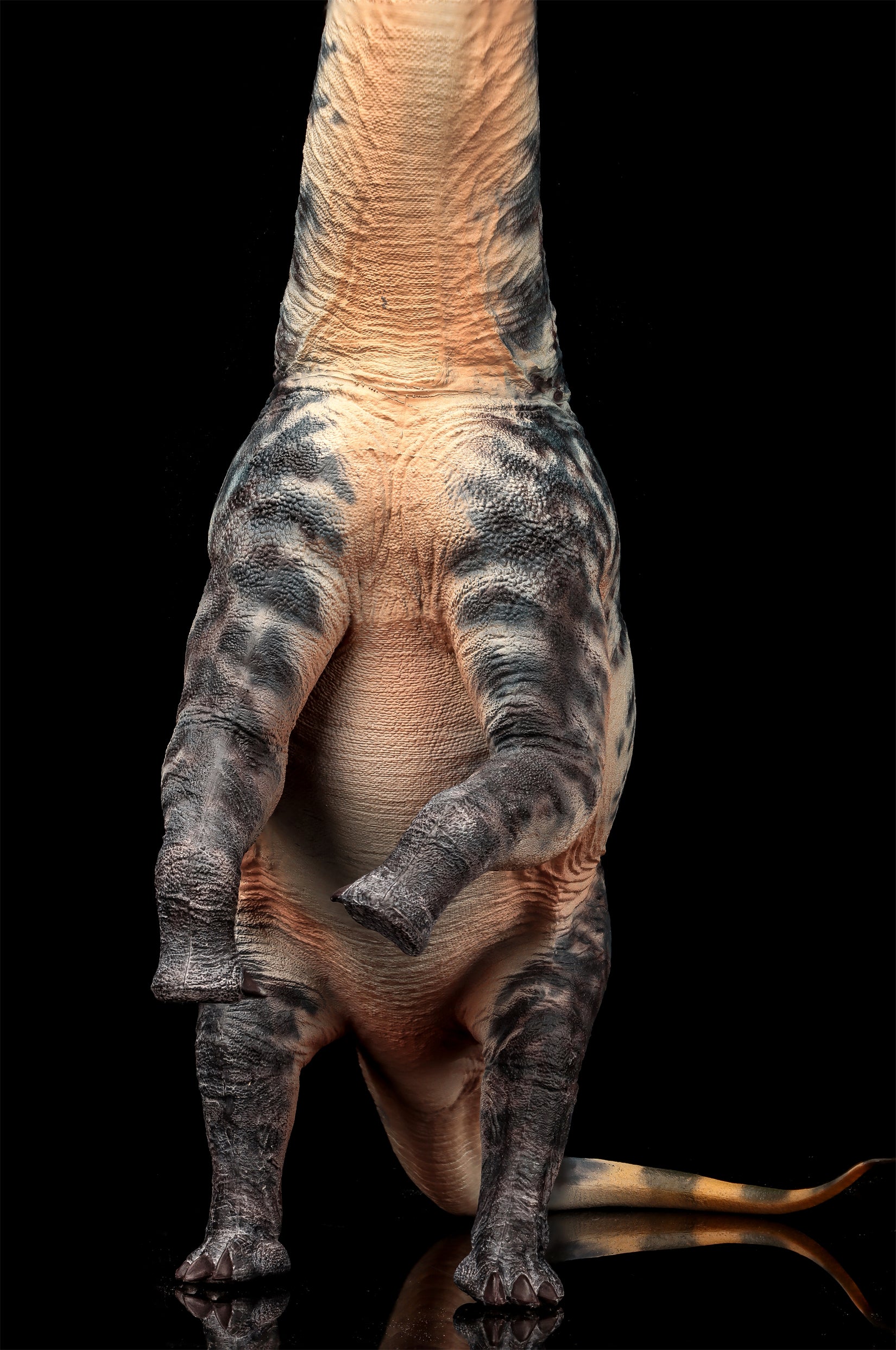 HAOLONGGOOD 1:35 Scale Sauroposeidon Model