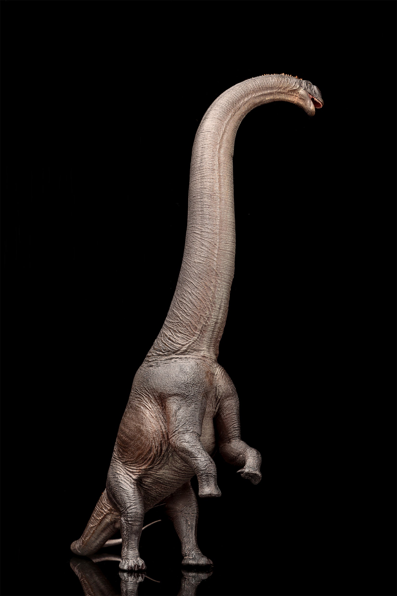 HAOLONGGOOD 1:35 Scale Sauroposeidon Model