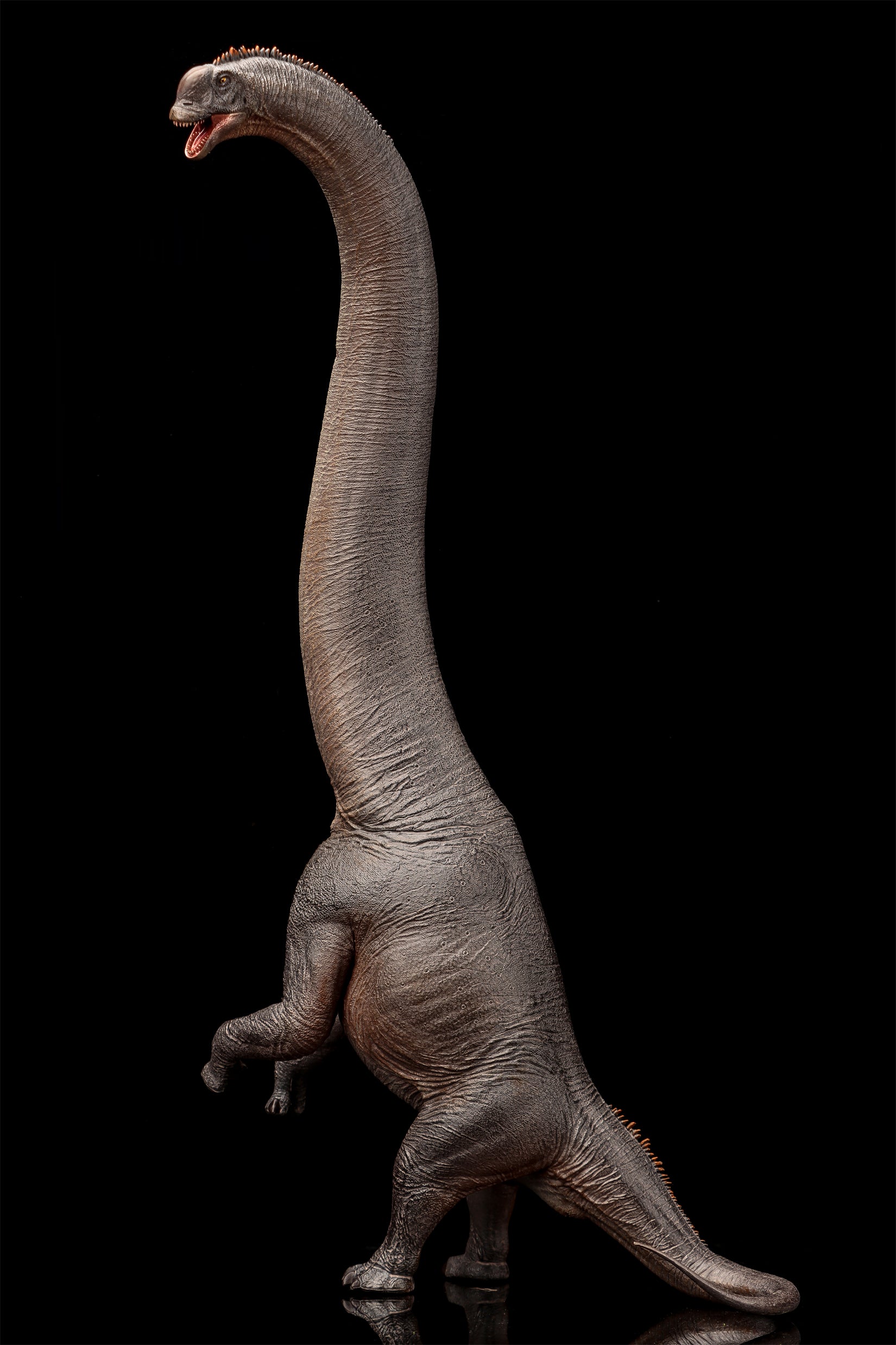 HAOLONGGOOD 1:35 Scale Sauroposeidon Model