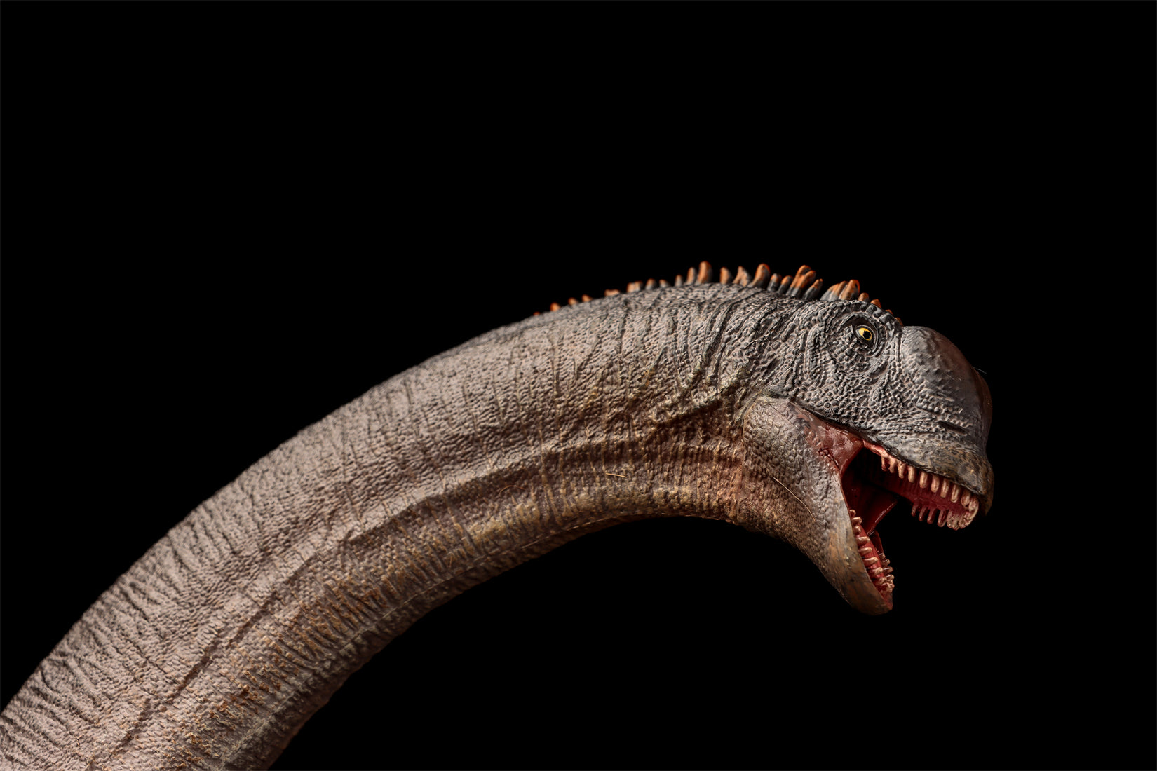 HAOLONGGOOD 1:35 Scale Sauroposeidon Model