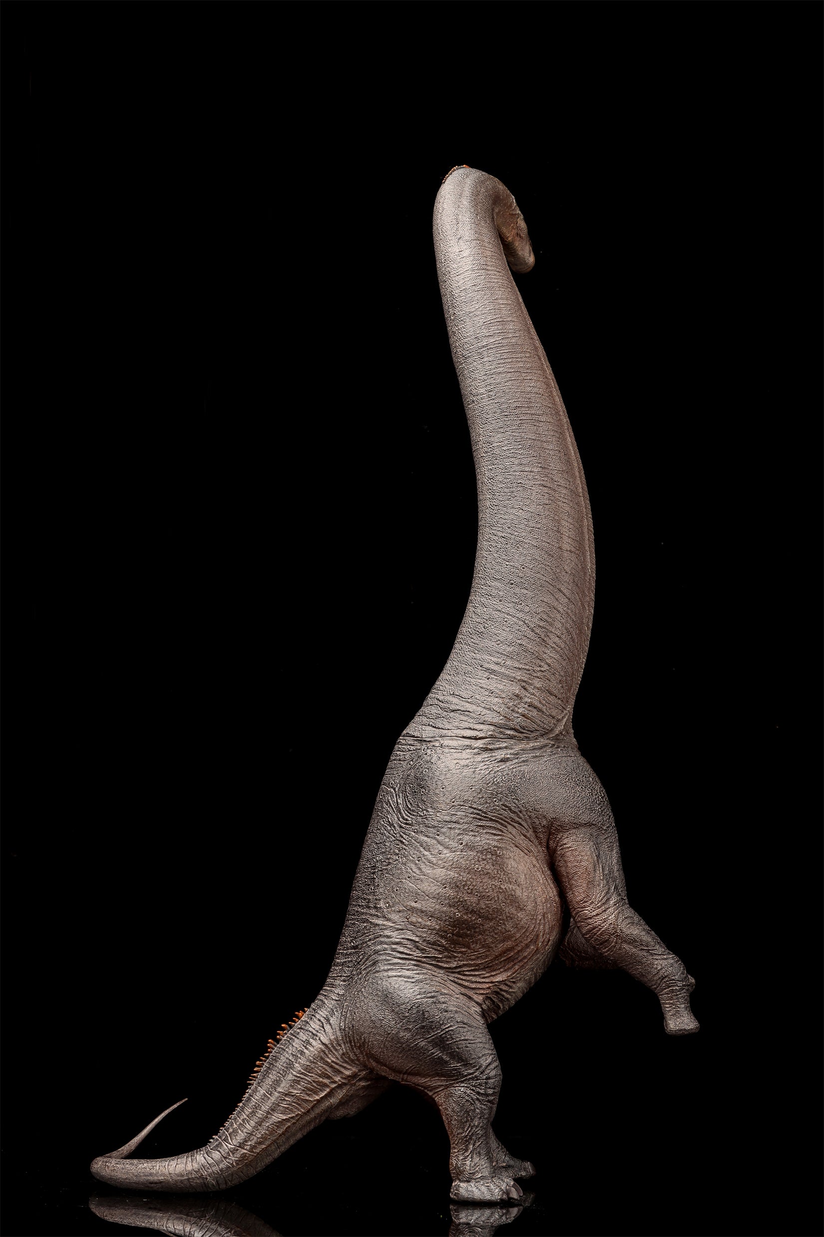 HAOLONGGOOD 1:35 Scale Sauroposeidon Model