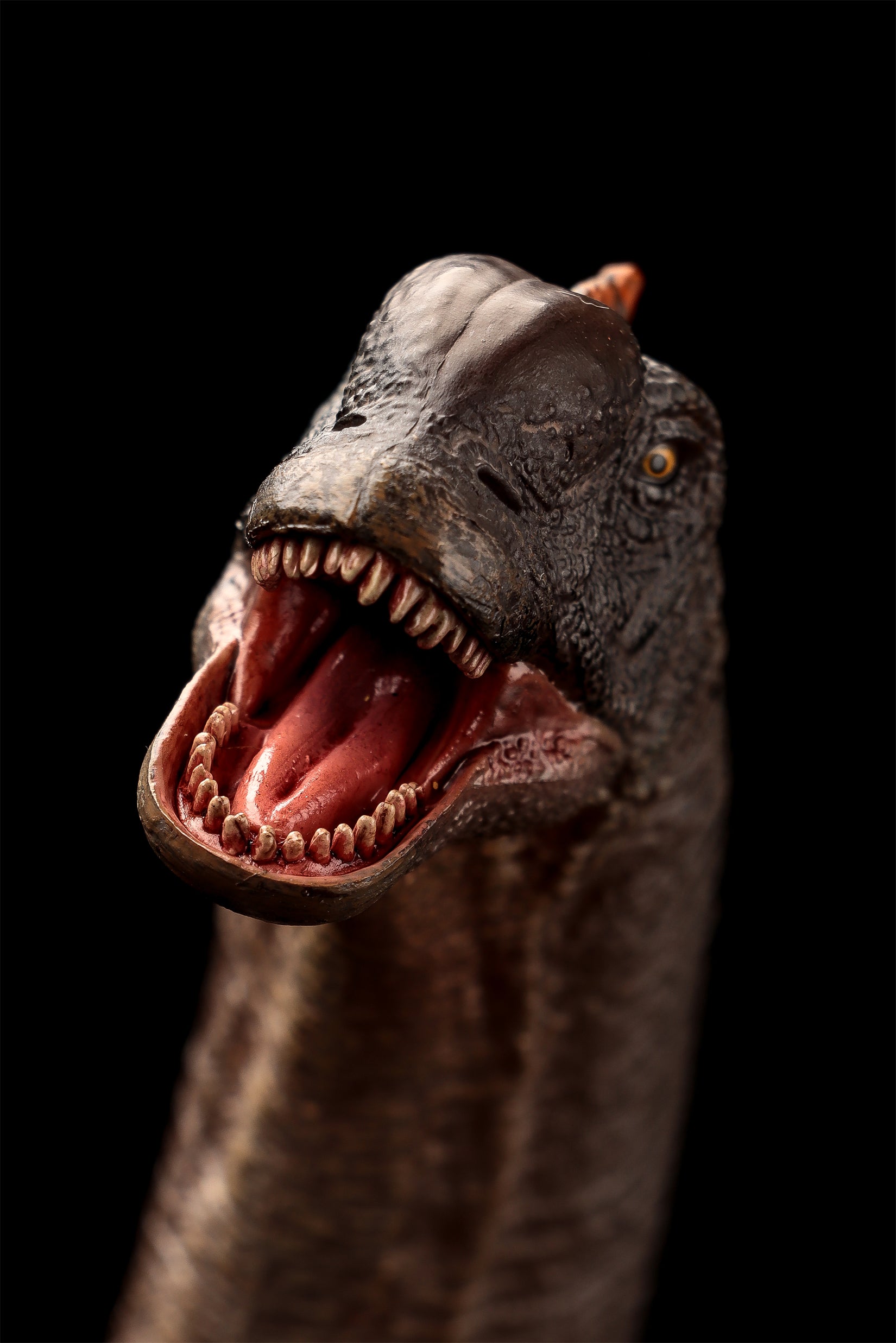 HAOLONGGOOD 1:35 Scale Sauroposeidon Model