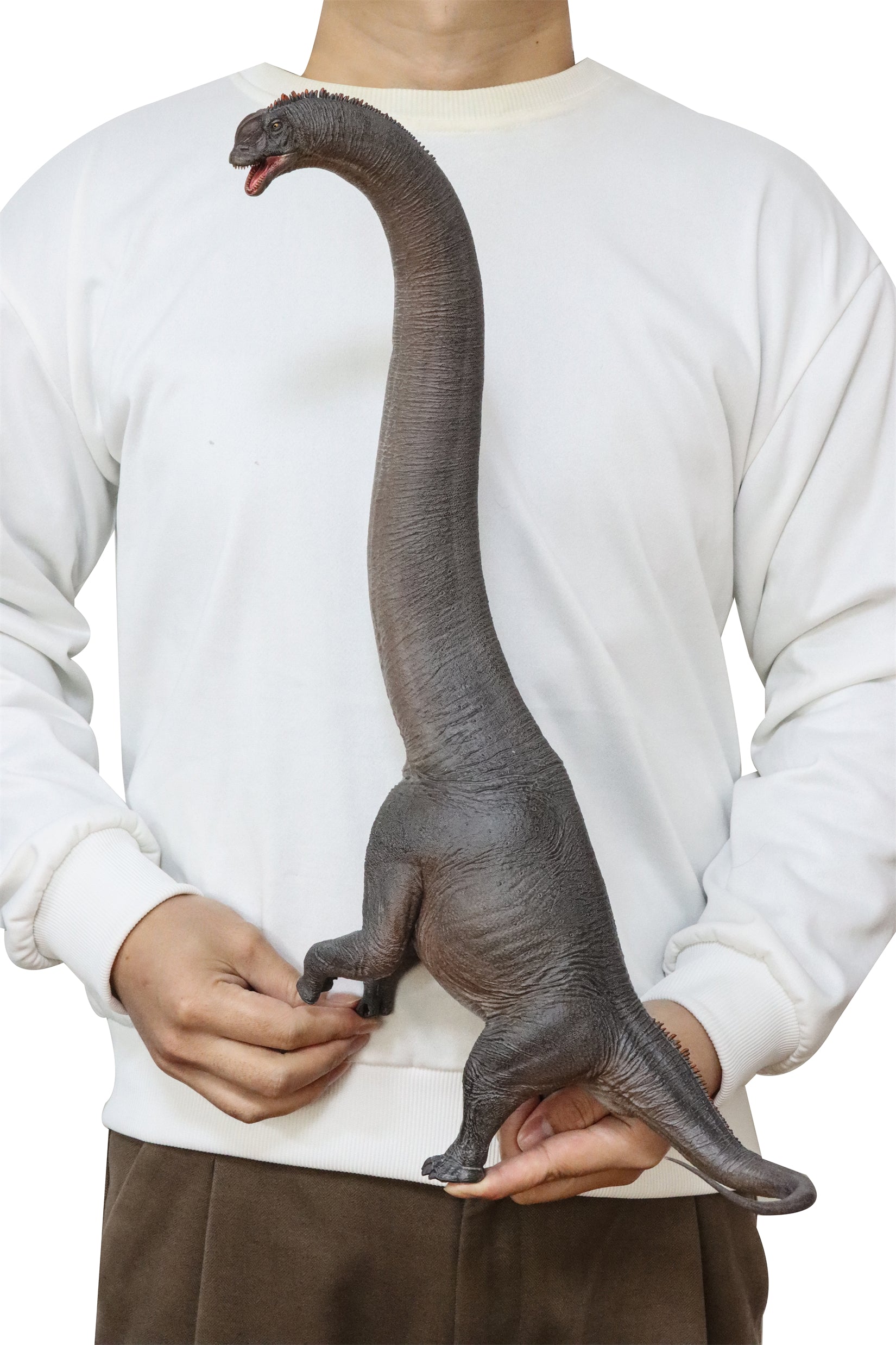 HAOLONGGOOD 1:35 Scale Sauroposeidon Model