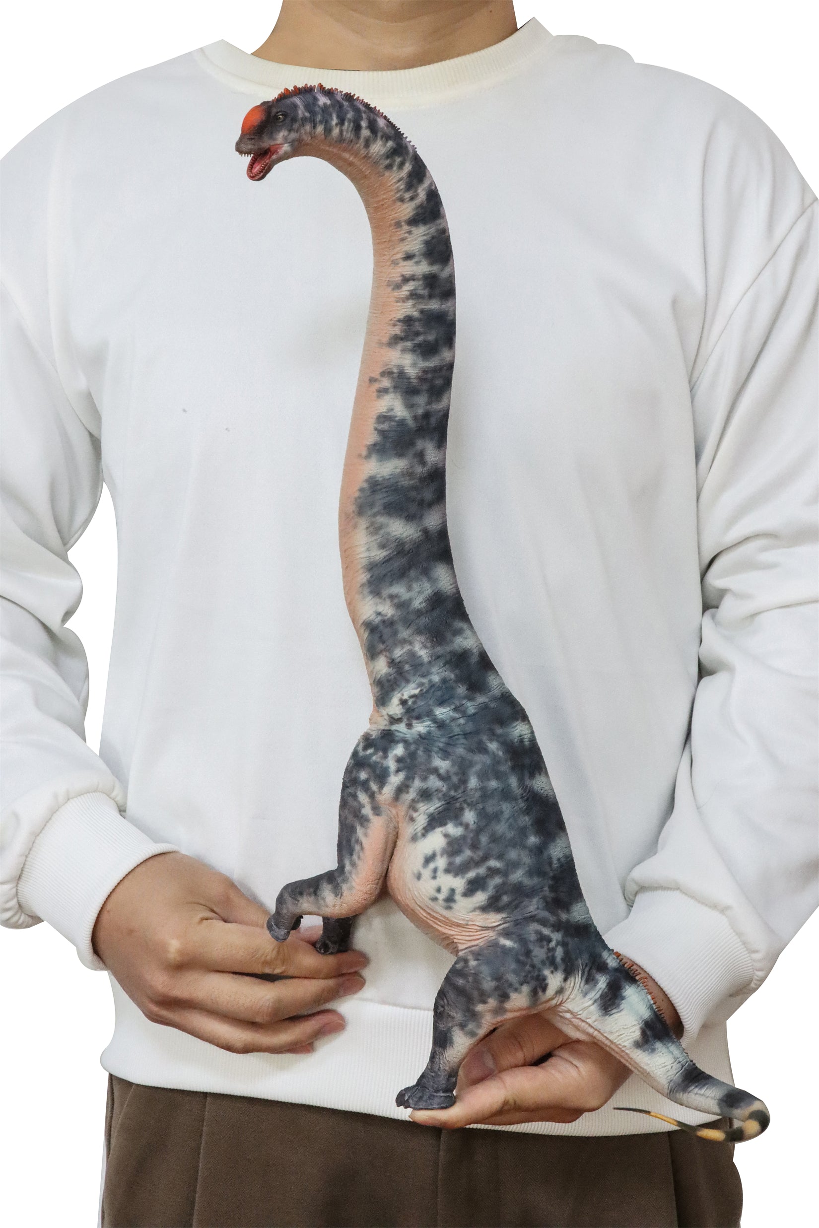 HAOLONGGOOD 1:35 Scale Sauroposeidon Model