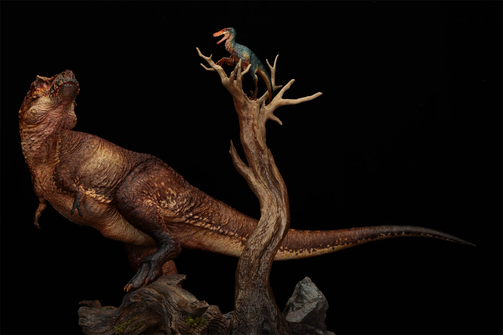 Ashine Alliance Tyrannosaurus Acheroraptor Scene Statue