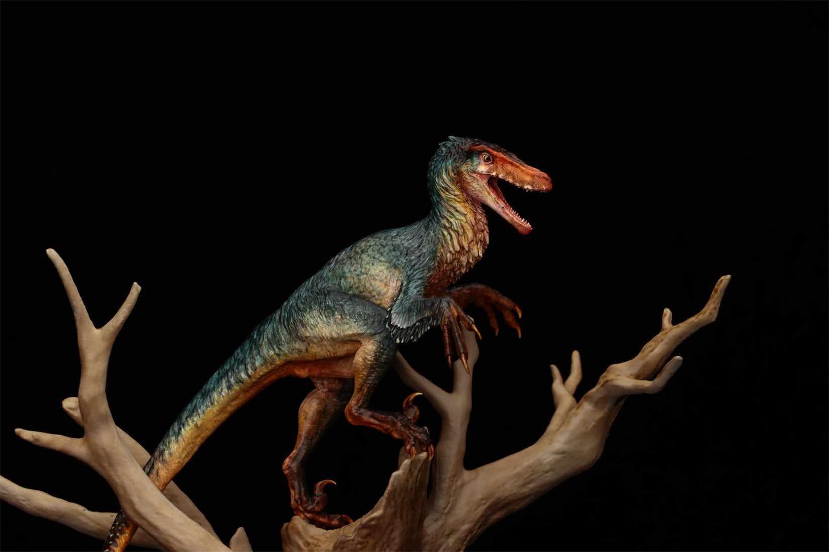 Ashine Alliance Tyrannosaurus Acheroraptor Scene Statue