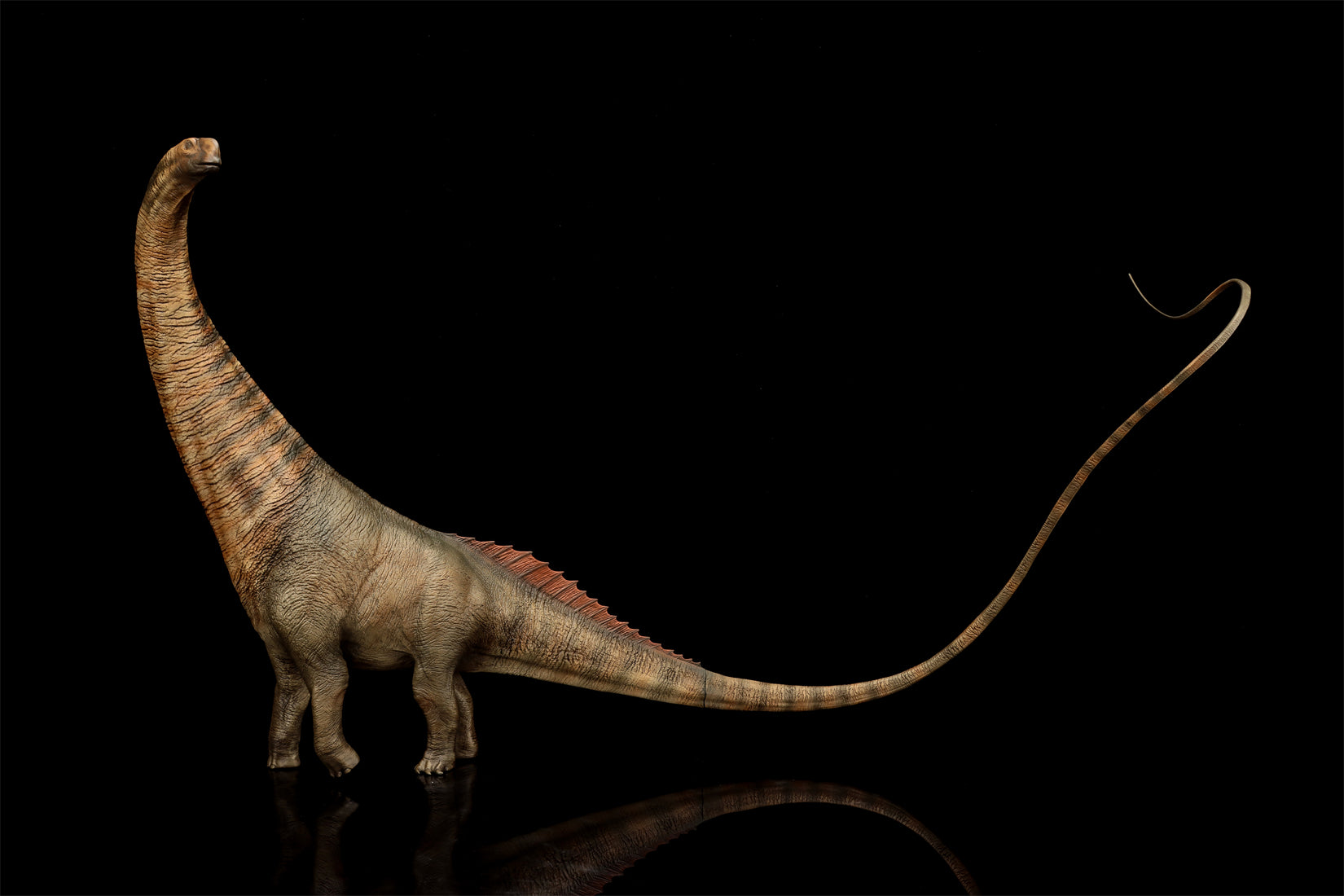 DINO DREAM 1:30 Scale Titanosaurus Model