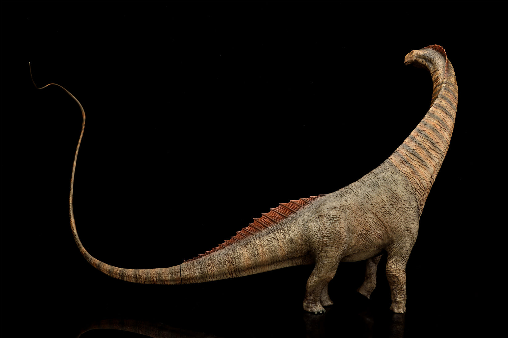 DINO DREAM 1:30 Scale Titanosaurus Model