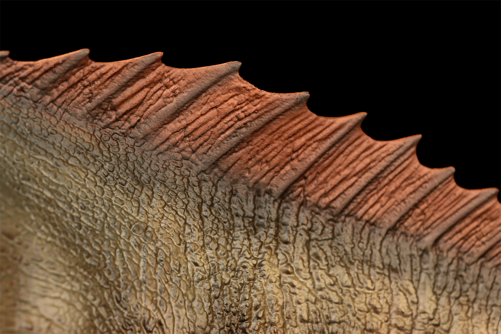 DINO DREAM 1:30 Scale Titanosaurus Model