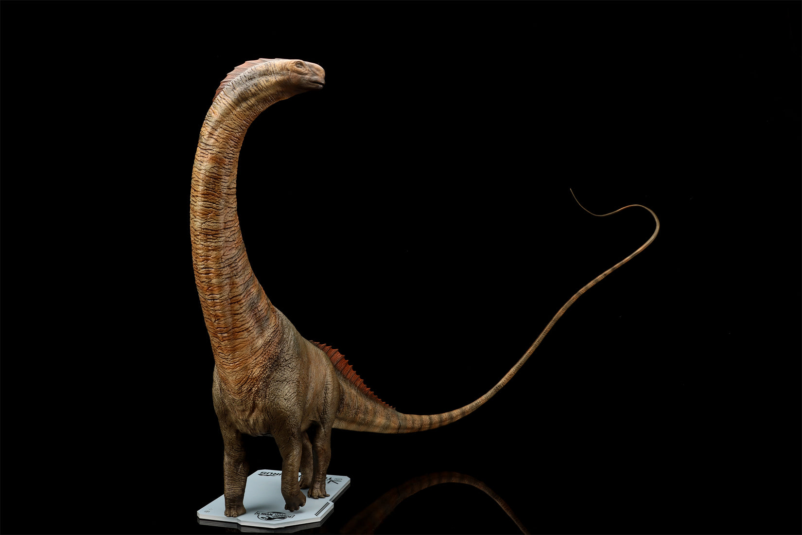 DINO DREAM 1:30 Scale Titanosaurus Model