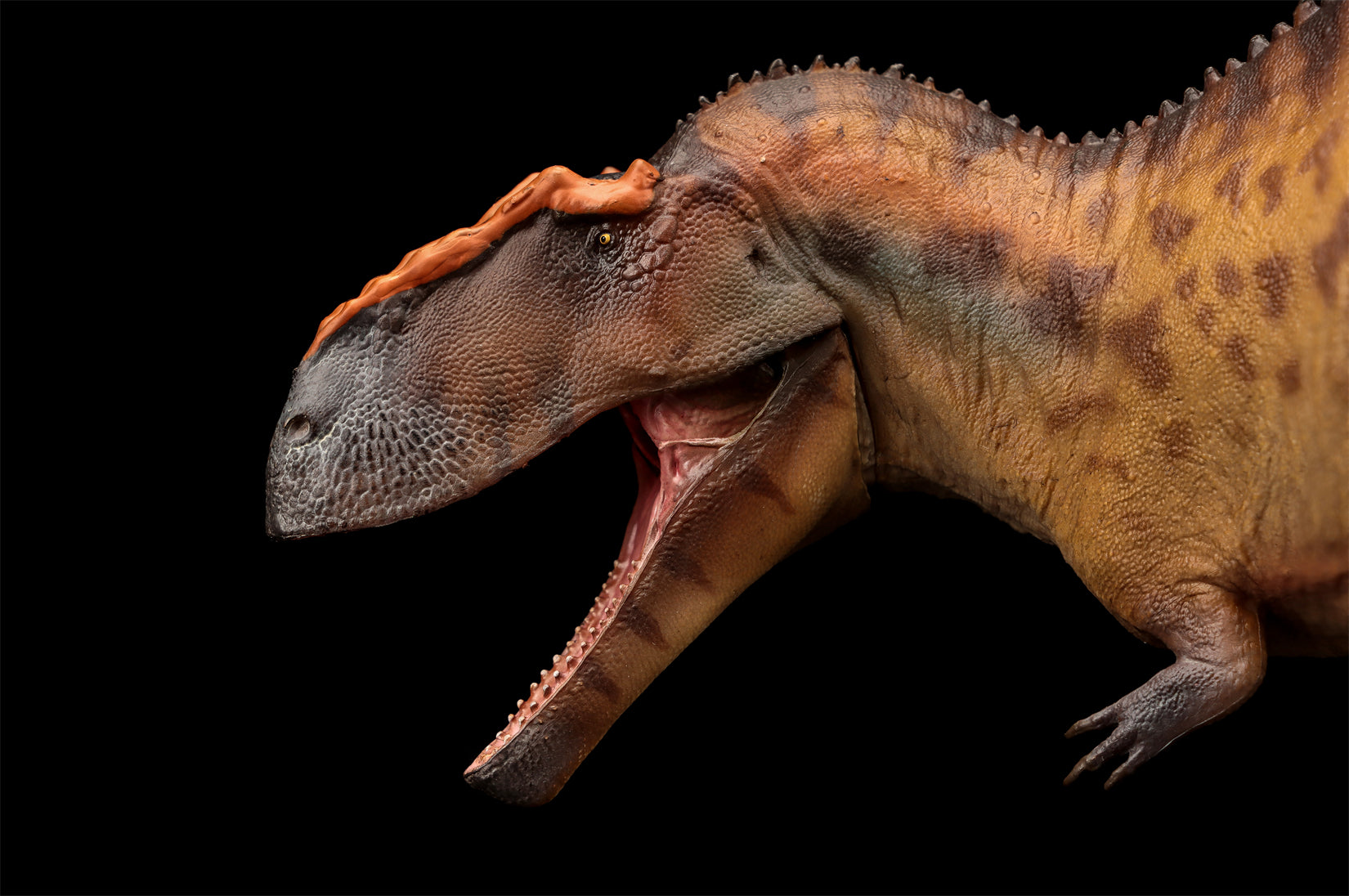 PNSO 96 Taurovenator Hugo Model