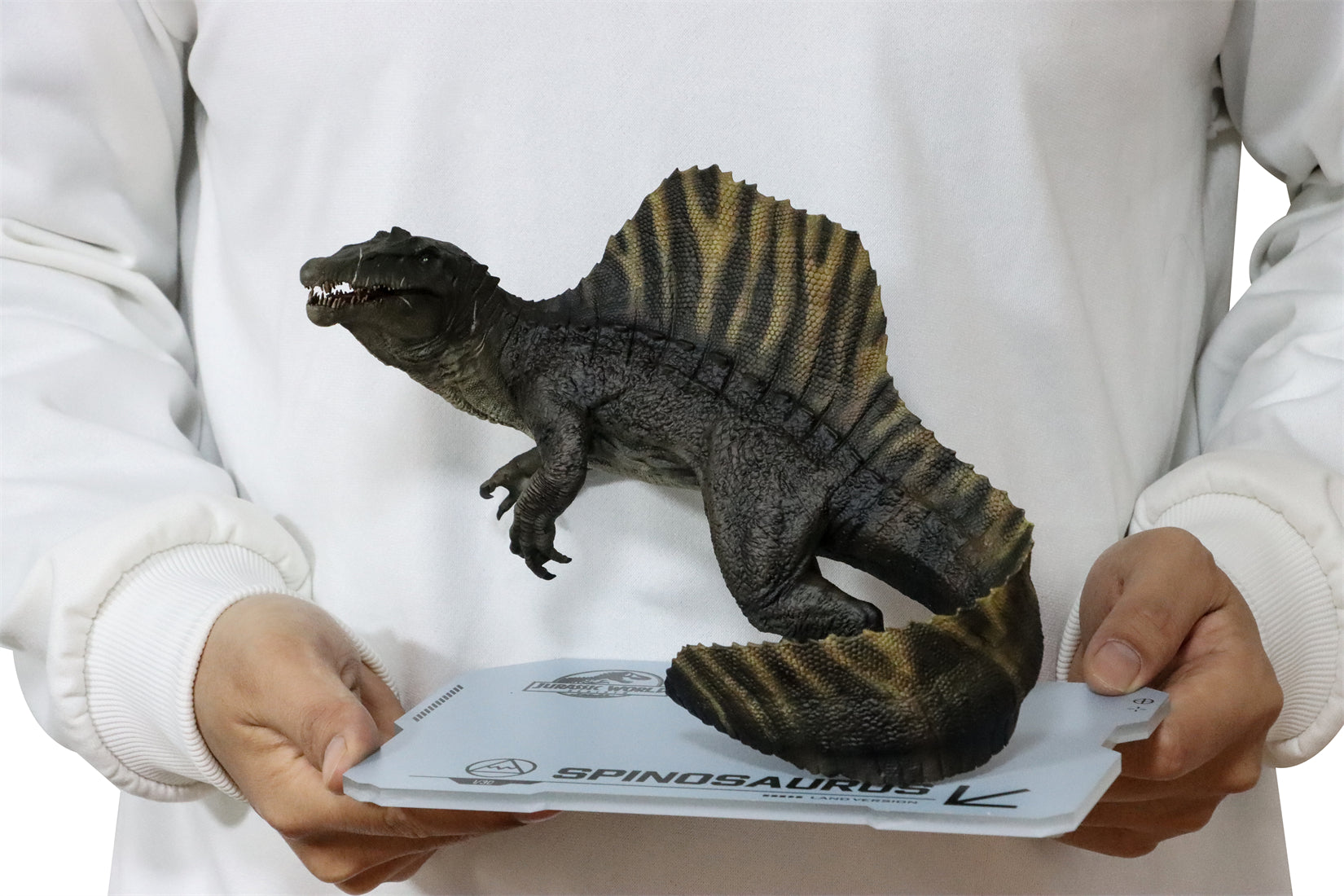 DINO DREAM 1:30 Scale Spinosaurus Stand Version Model