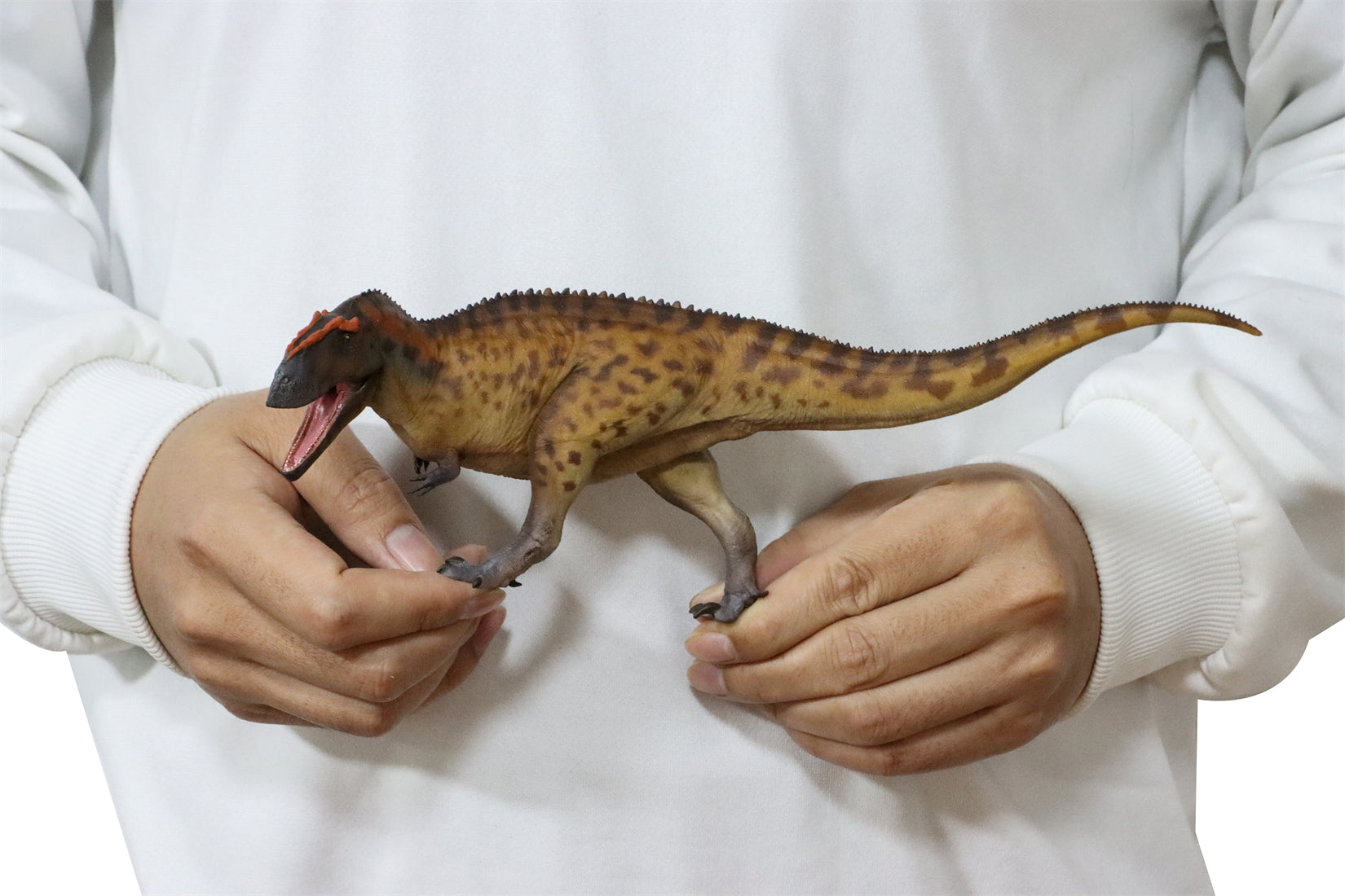 PNSO 96 Taurovenator Hugo Model