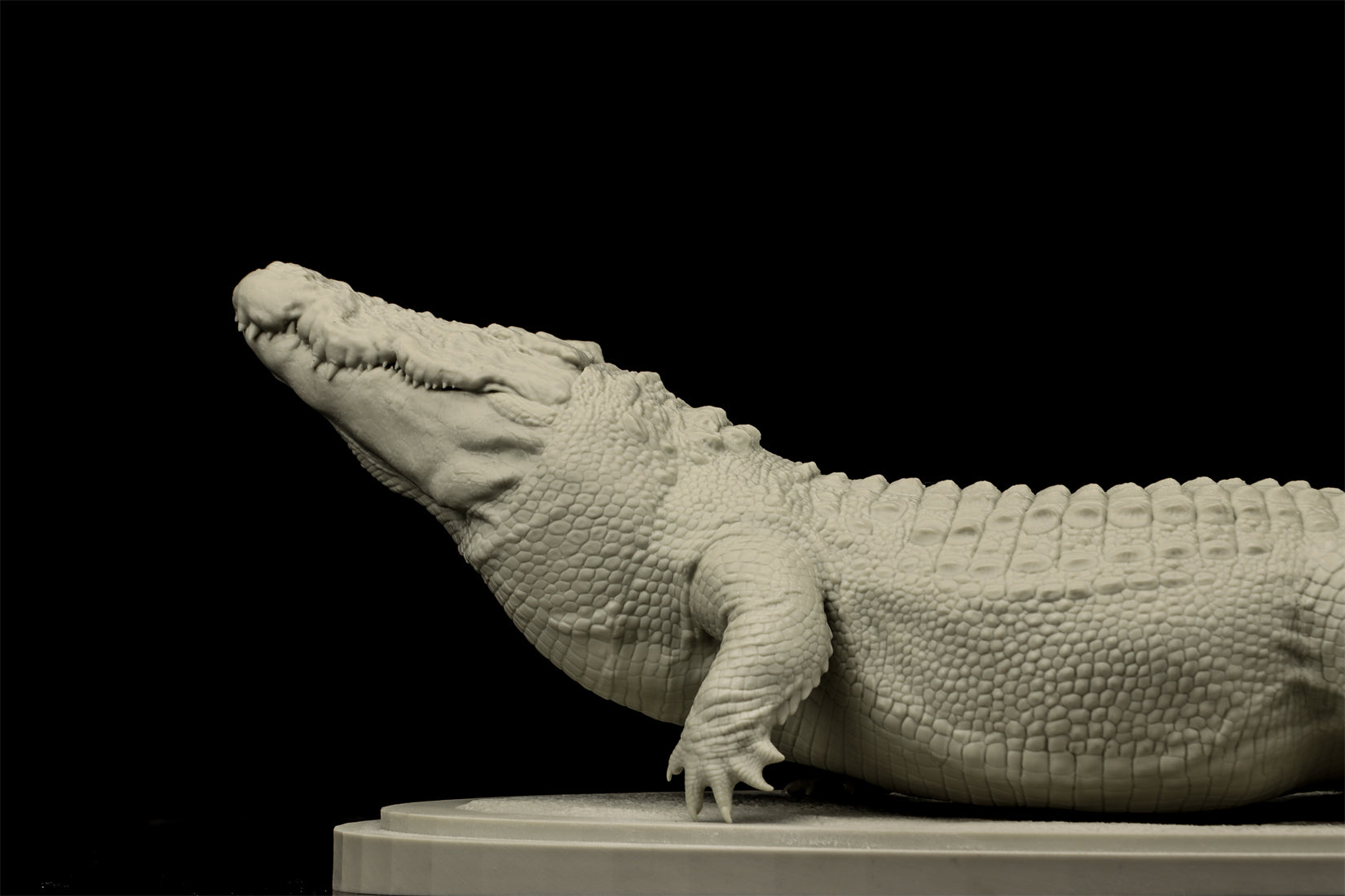 The Crocs Man Studio Crocodile Utan Model