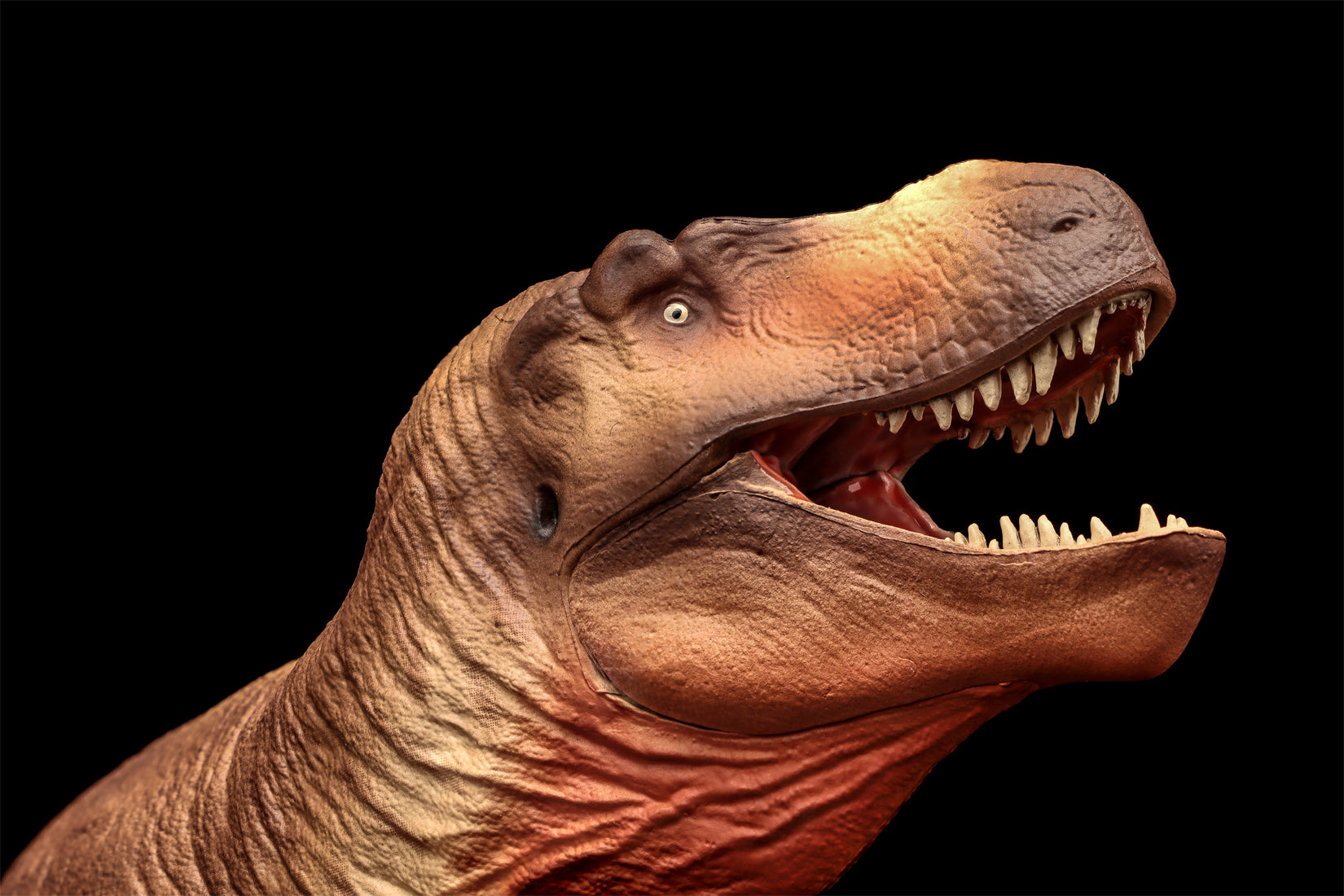 Figurine Tarbosaurus de The Boundless World 