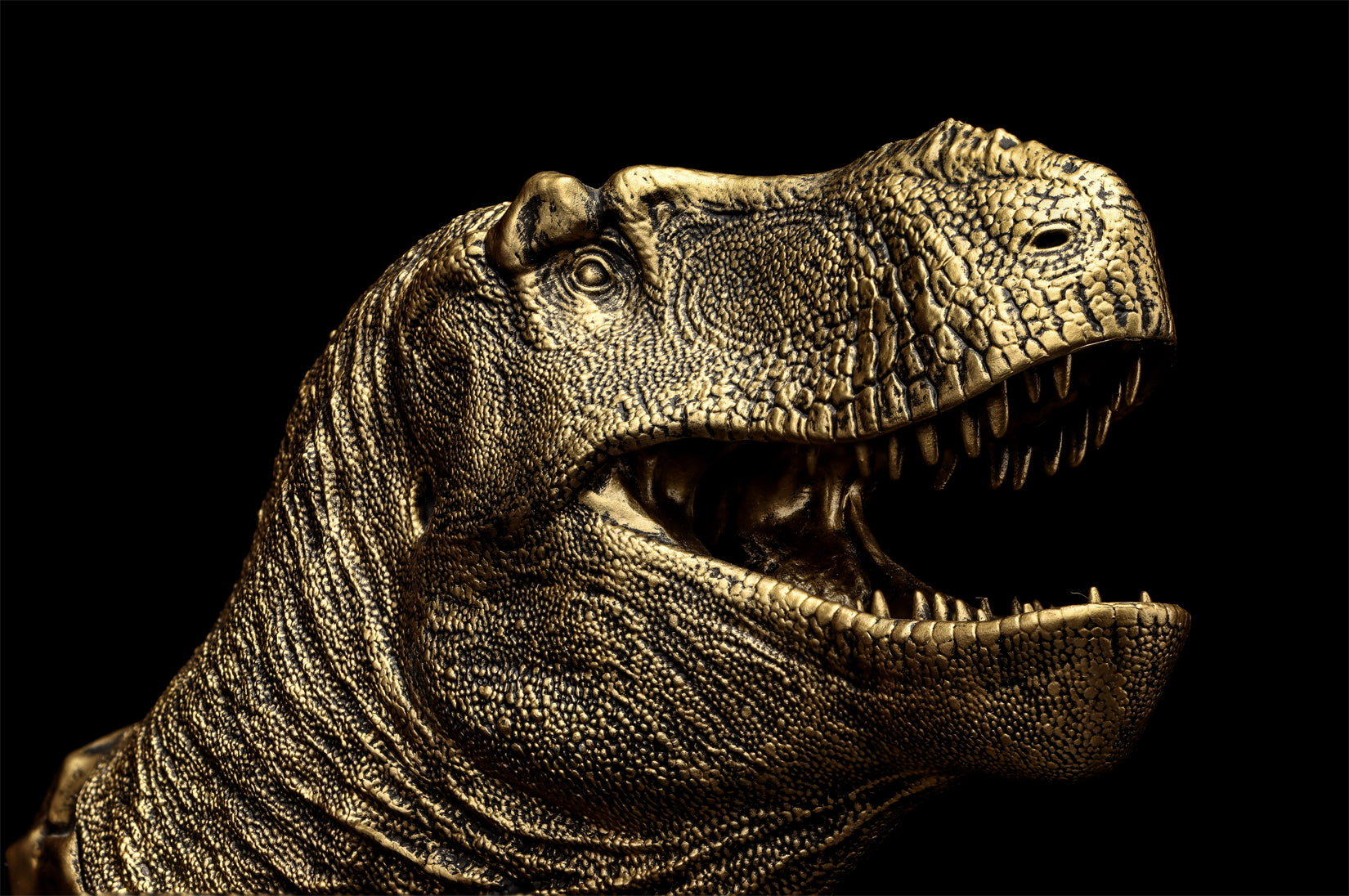 Figurine Tarbosaurus de The Boundless World 