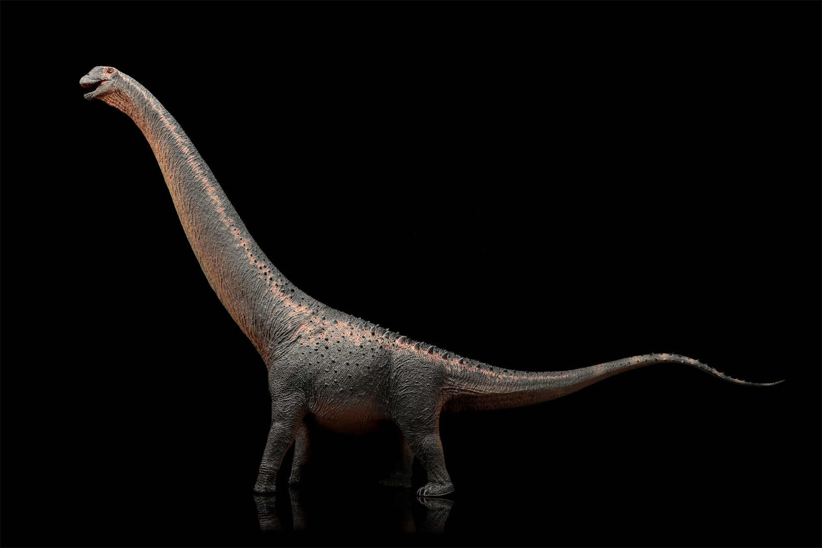 HAOLONGGOOD 1:35 Scale Argentinosaurus Model