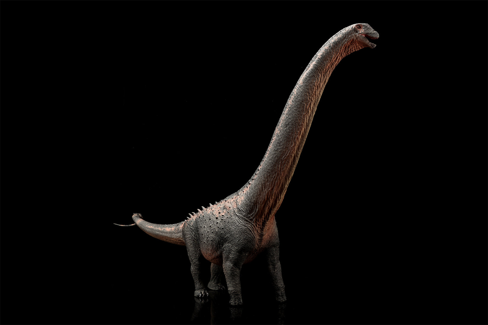 HAOLONGGOOD 1:35 Scale Argentinosaurus Model