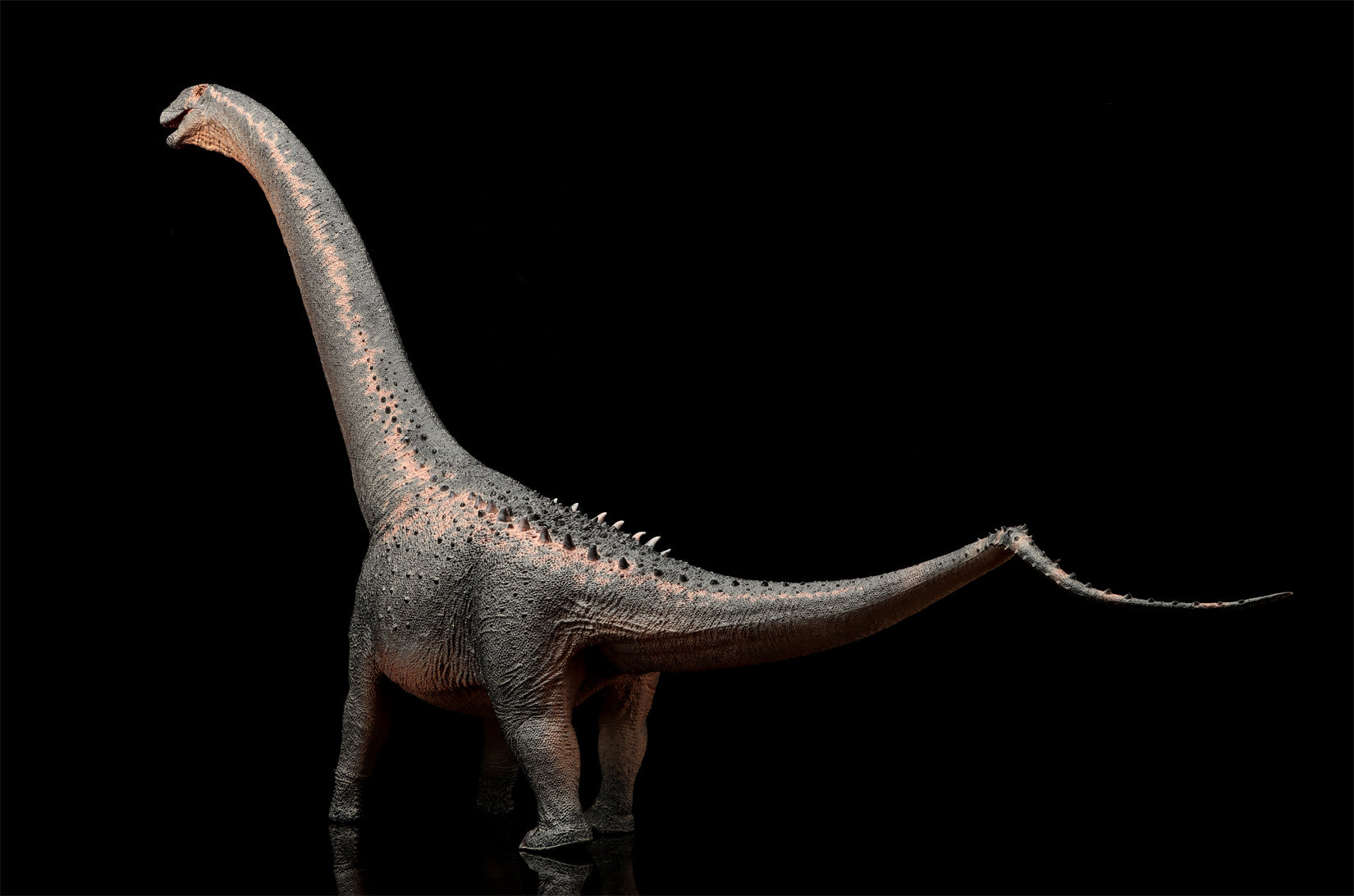 HAOLONGGOOD 1:35 Scale Argentinosaurus Model
