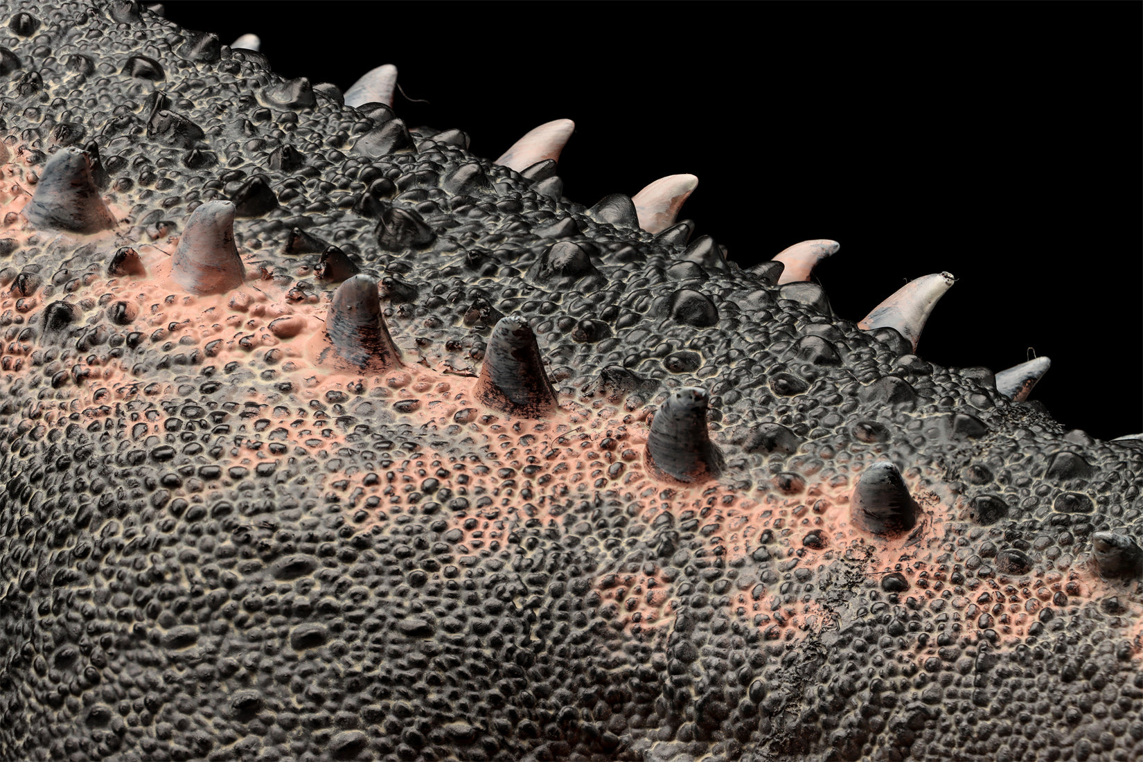 HAOLONGGOOD 1:35 Scale Argentinosaurus Model